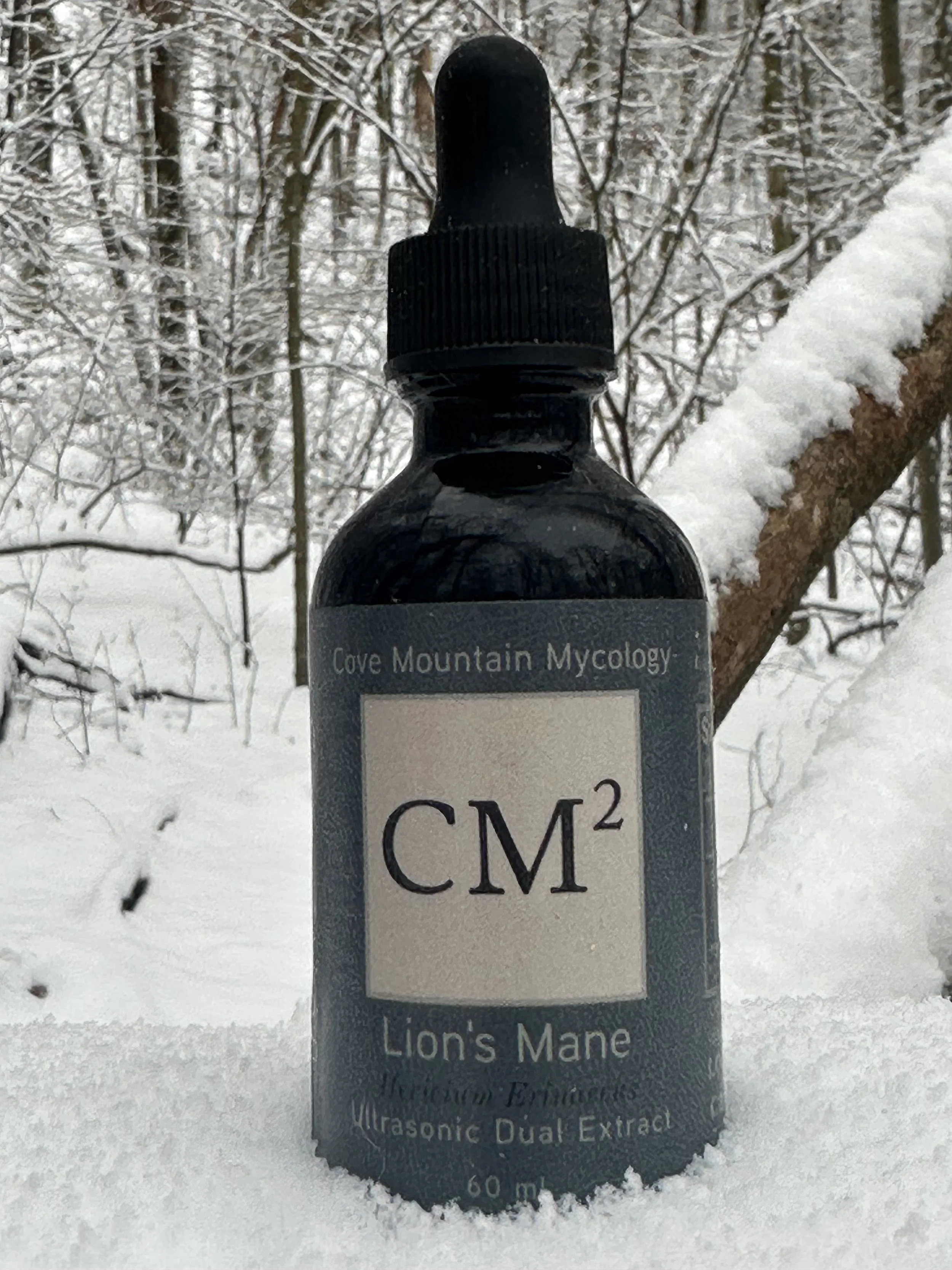Lion’s Mane: Cognition