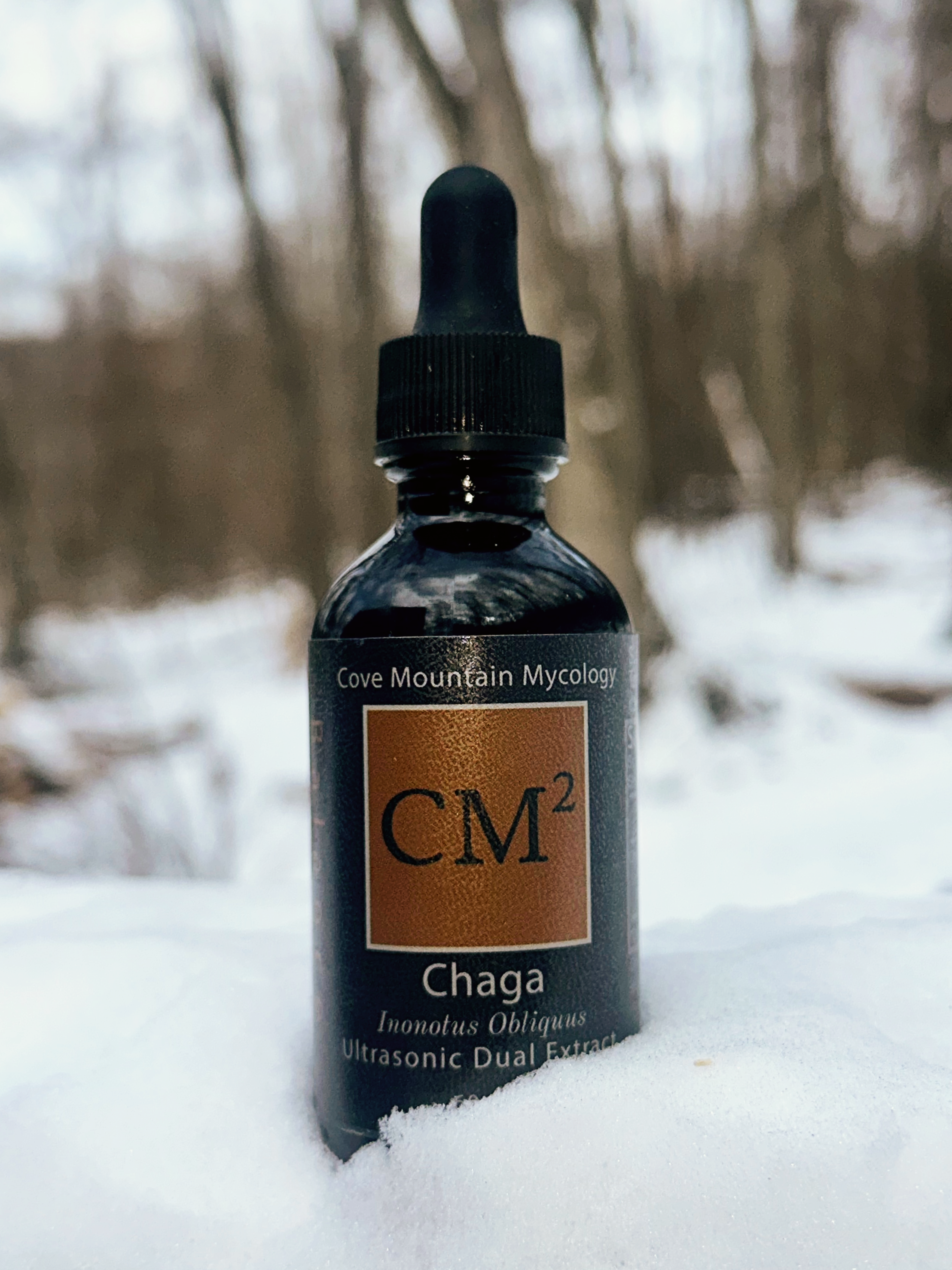 Chaga: Balance