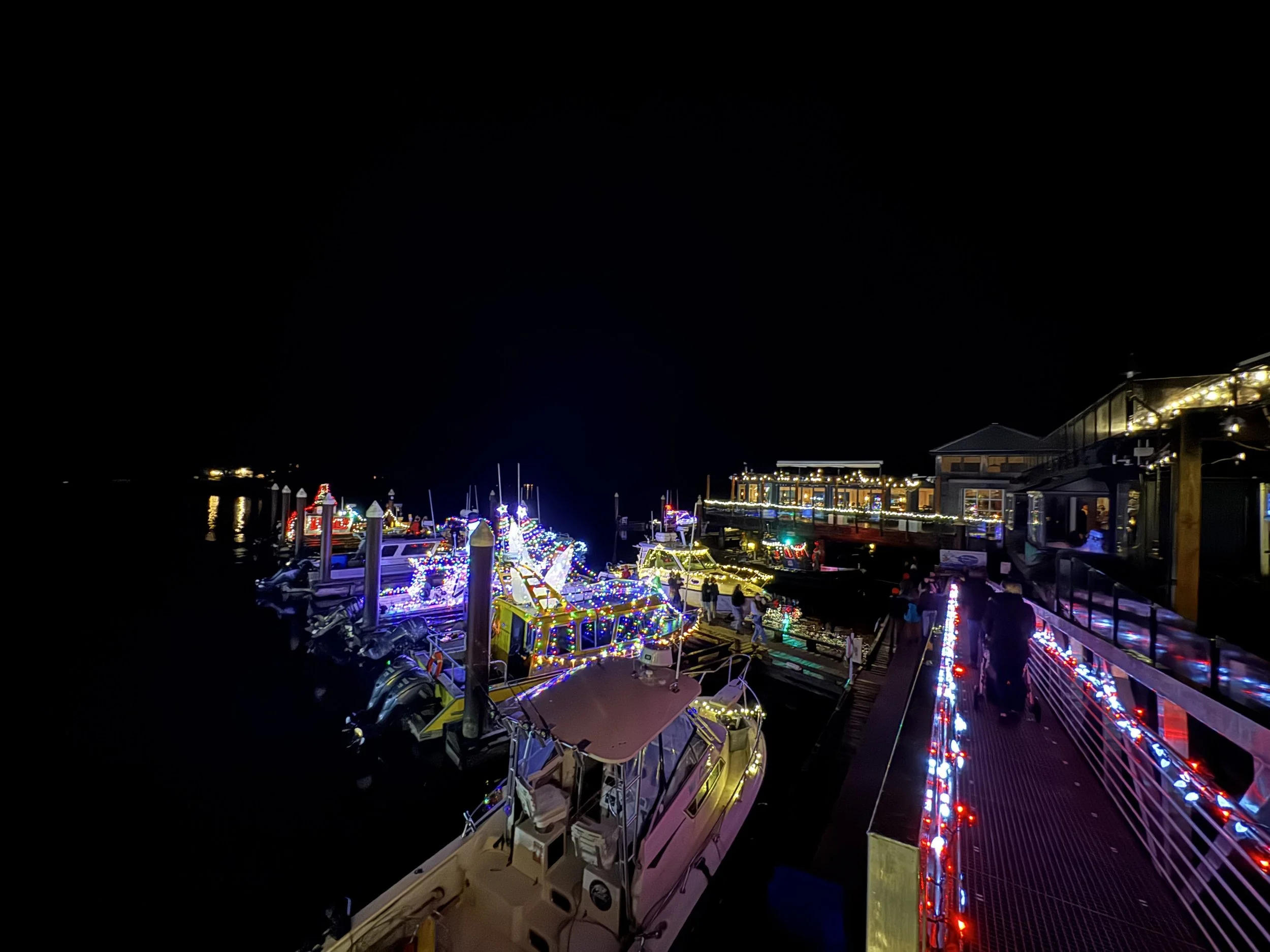Tofino Sea Of Lights