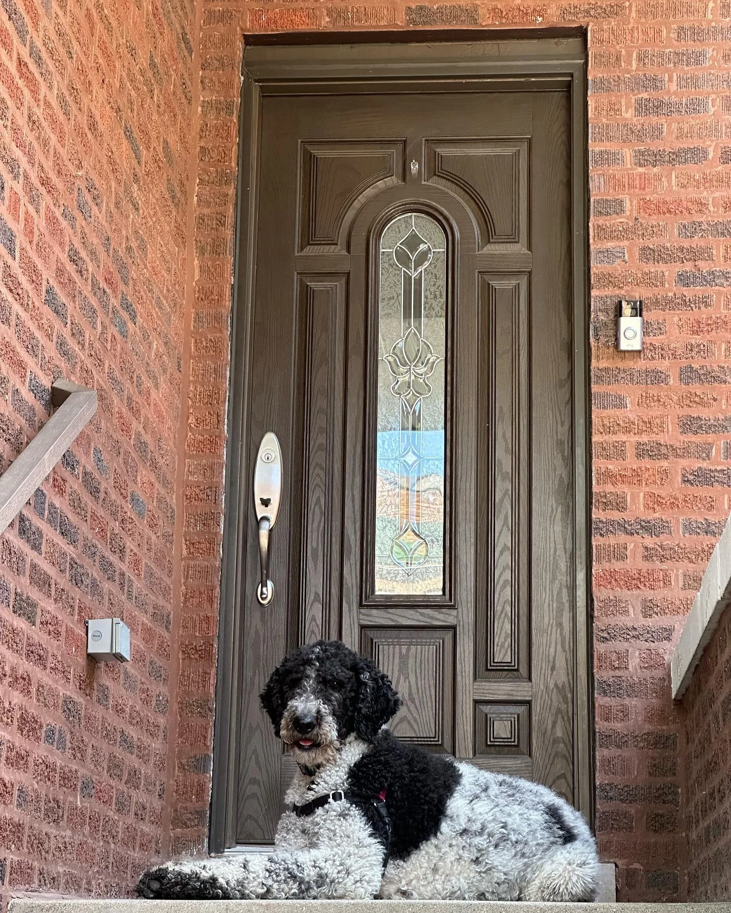 Back to Chicago&hellip;

I saw a whole bunch of friends and colleagues, but got barely any pictures of them, whoops. Shout out to Alvin &amp; Molly who hosted me and Doolin for a night in Glen Ellyn, to Ben &amp; Mistie who hosted us in Albany Park, 