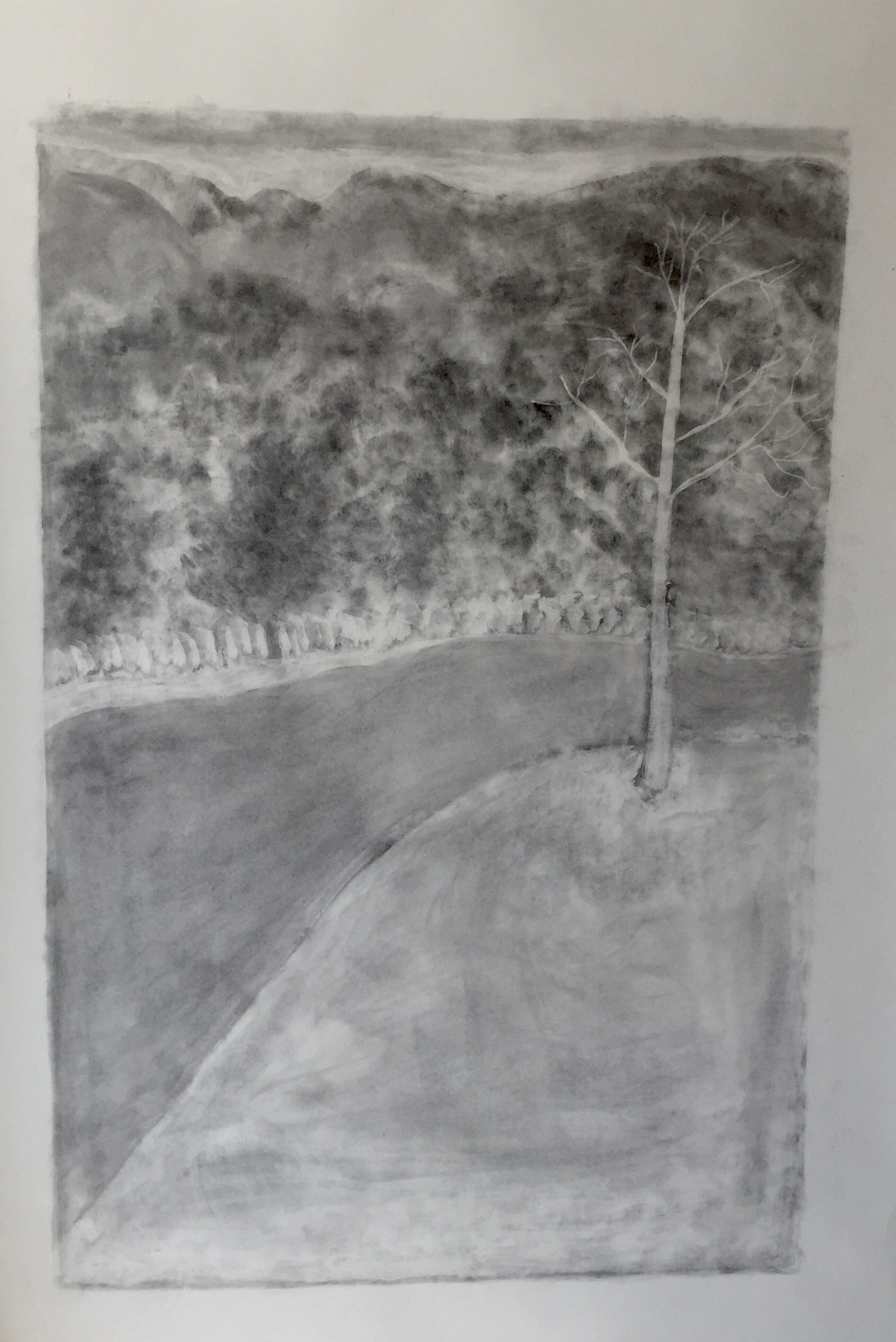 "What I see" Charcoal on paper 24" by 30".