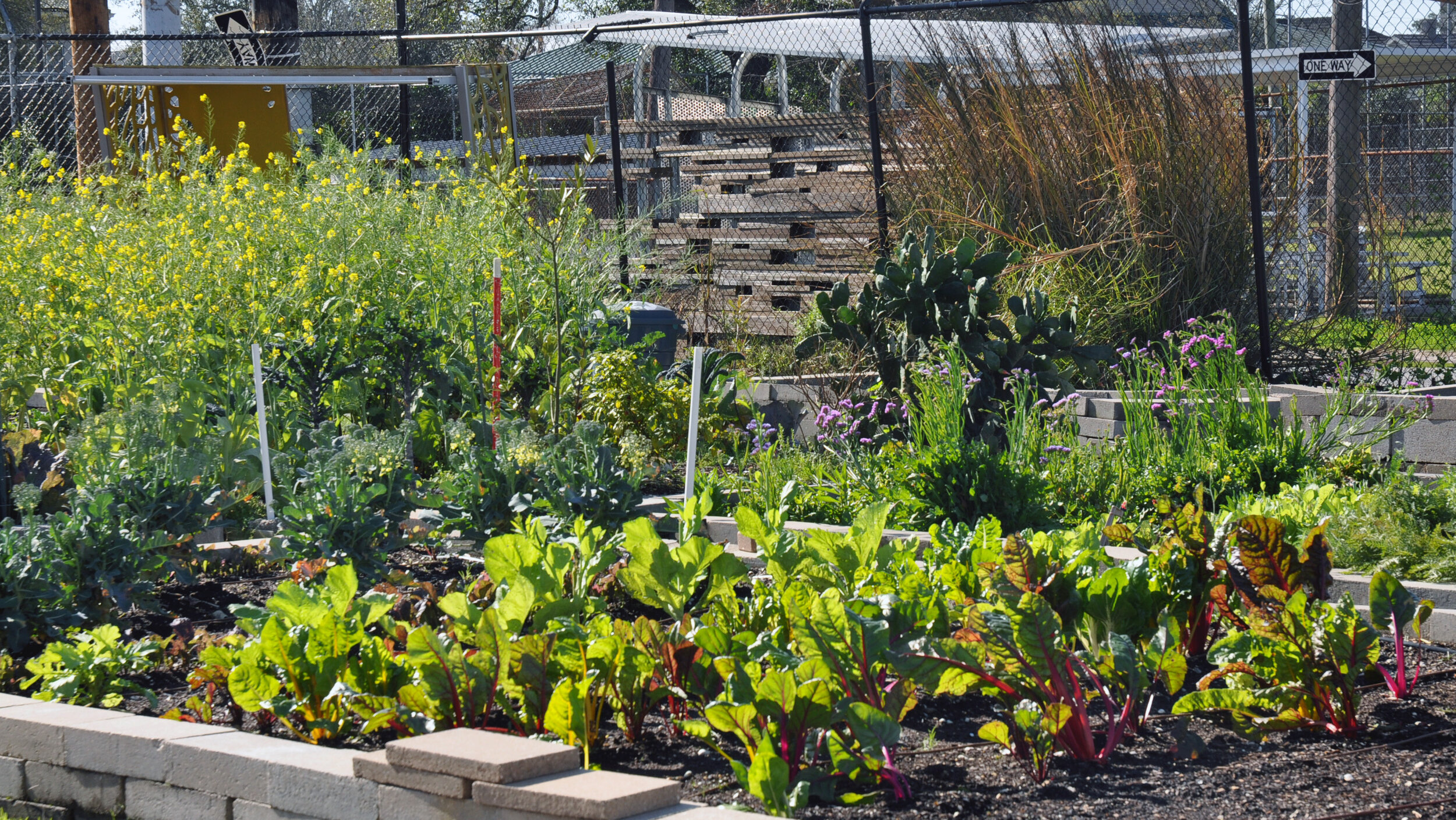 Can Urban Agriculture be a Solution to Blight? Not necessarily.