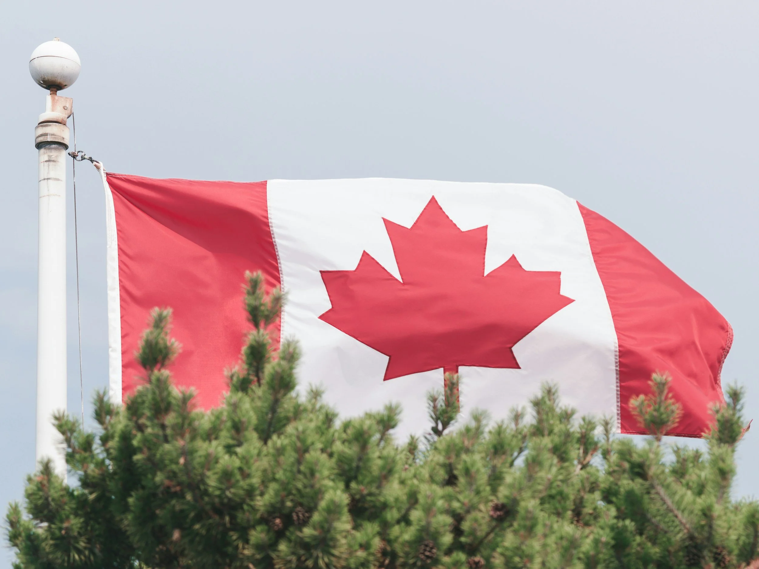 Do Canadian Municipalities Have a Hidden Ideological Pulse?