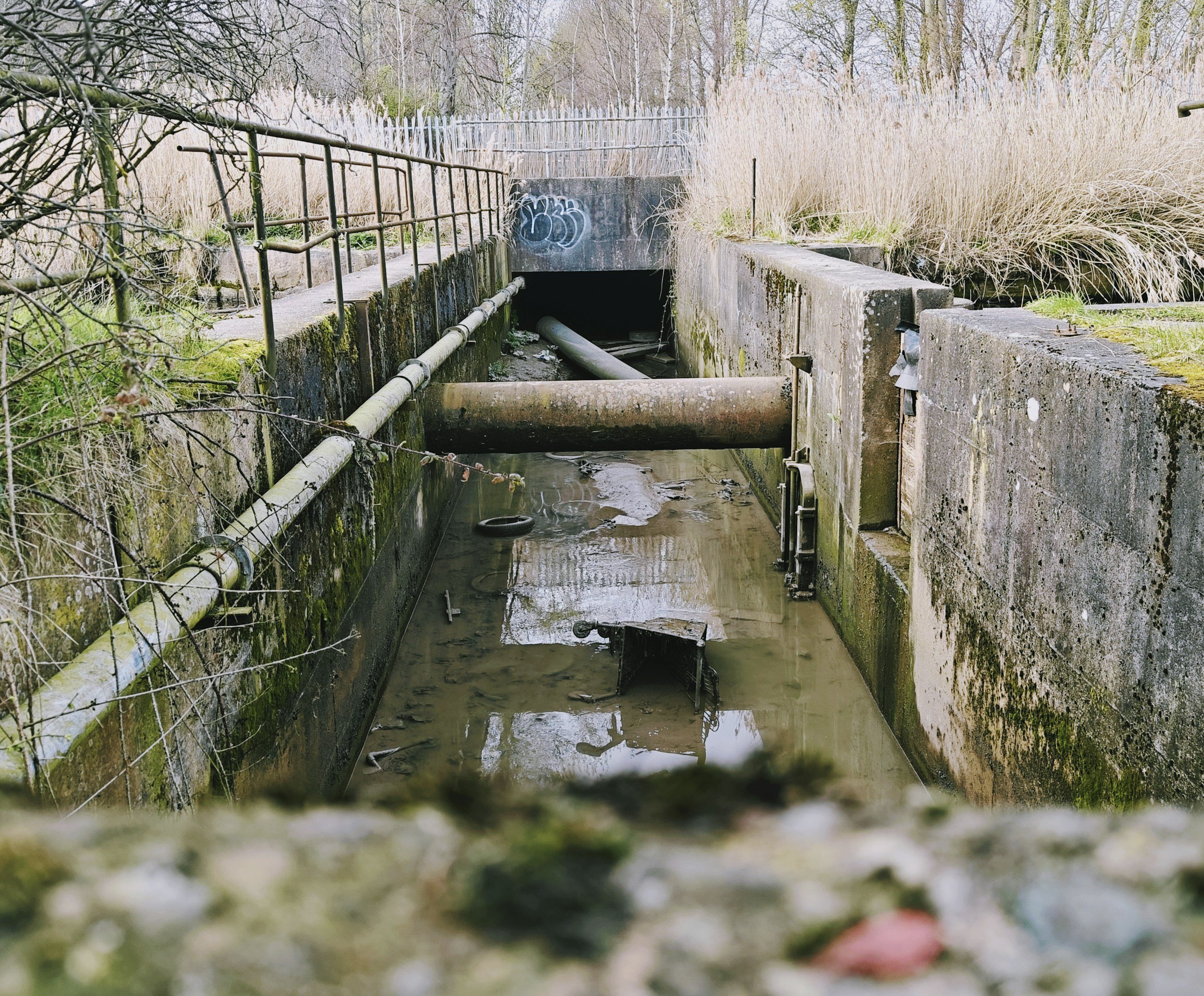 When Cities Take Back Their Water, Who Really Gets a Say?