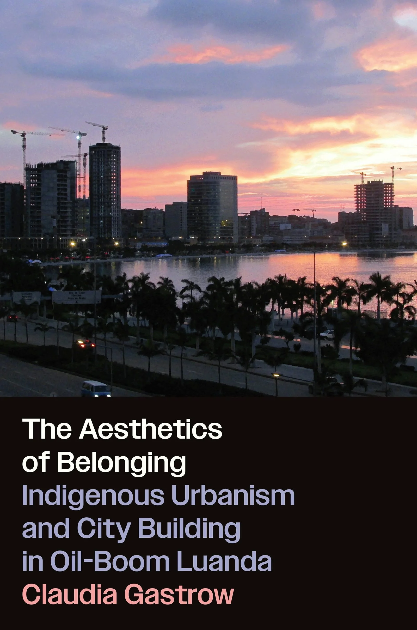New Books: The Aesthetics of Belonging