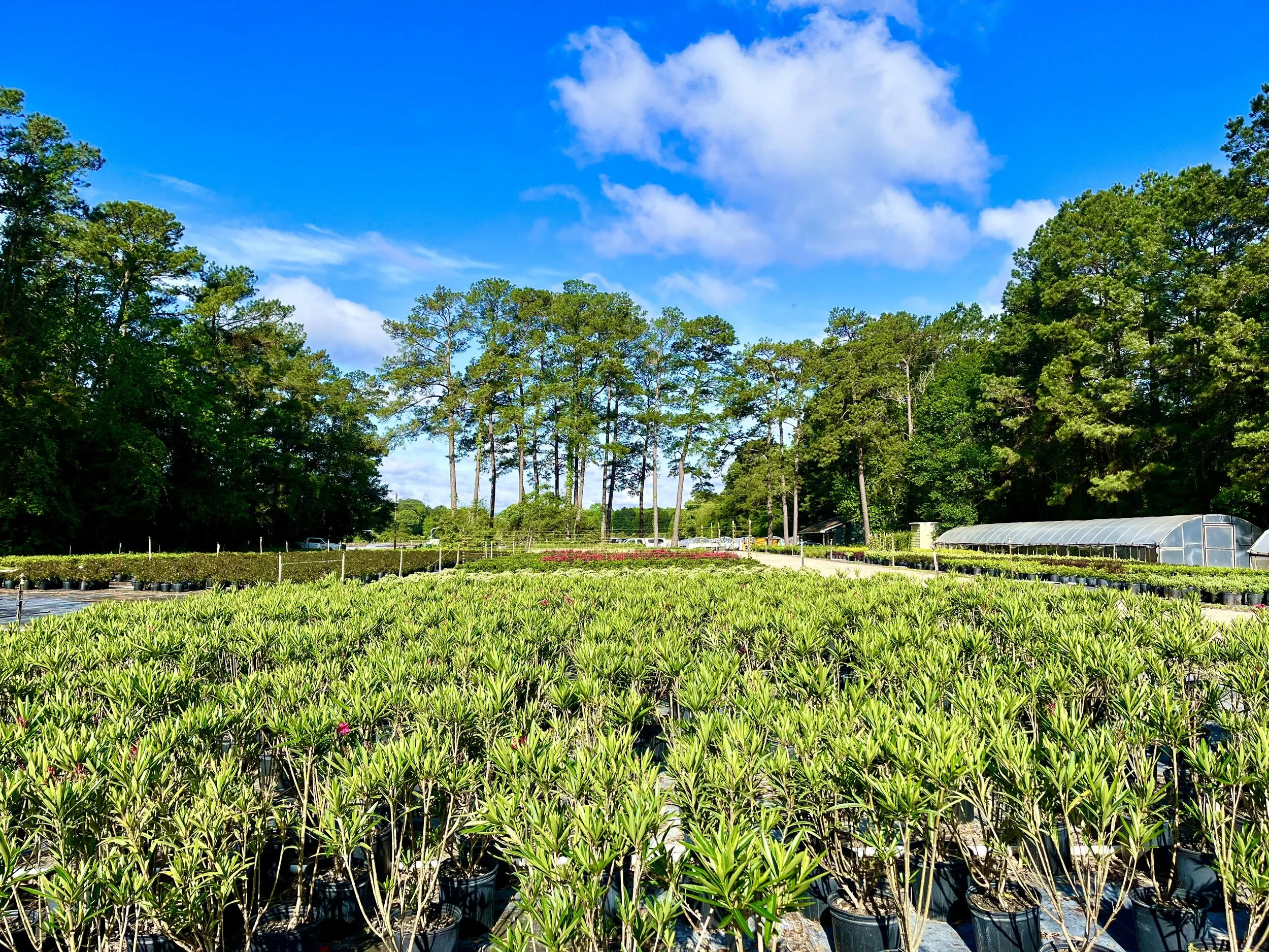 About — Container Grown Nursery