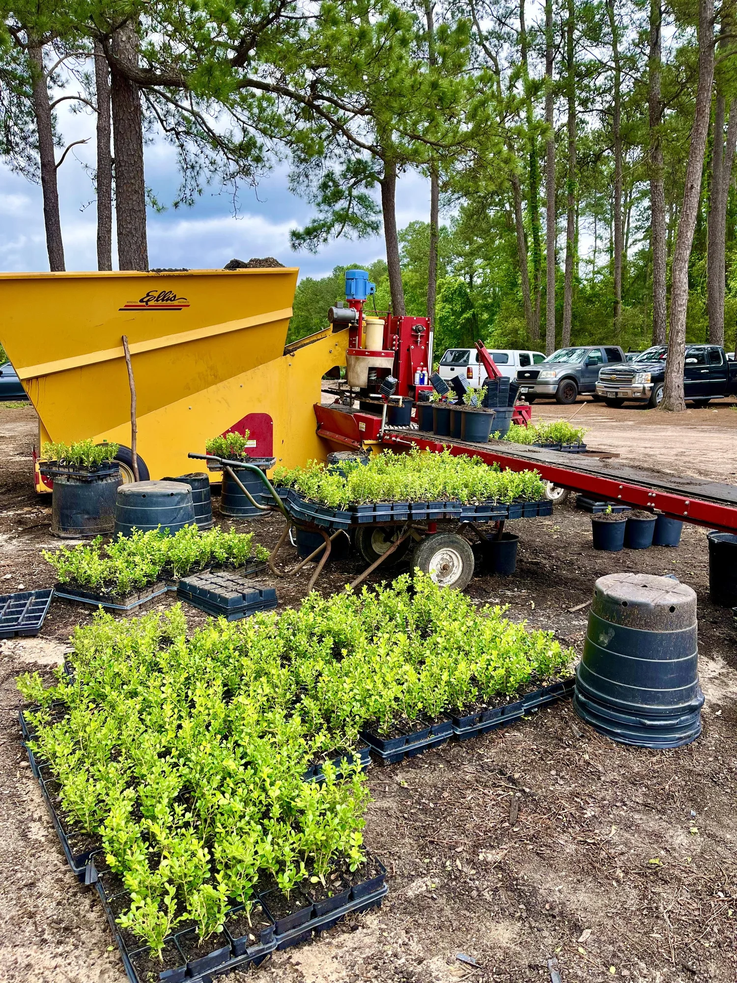 Gallery — Container Grown Nursery