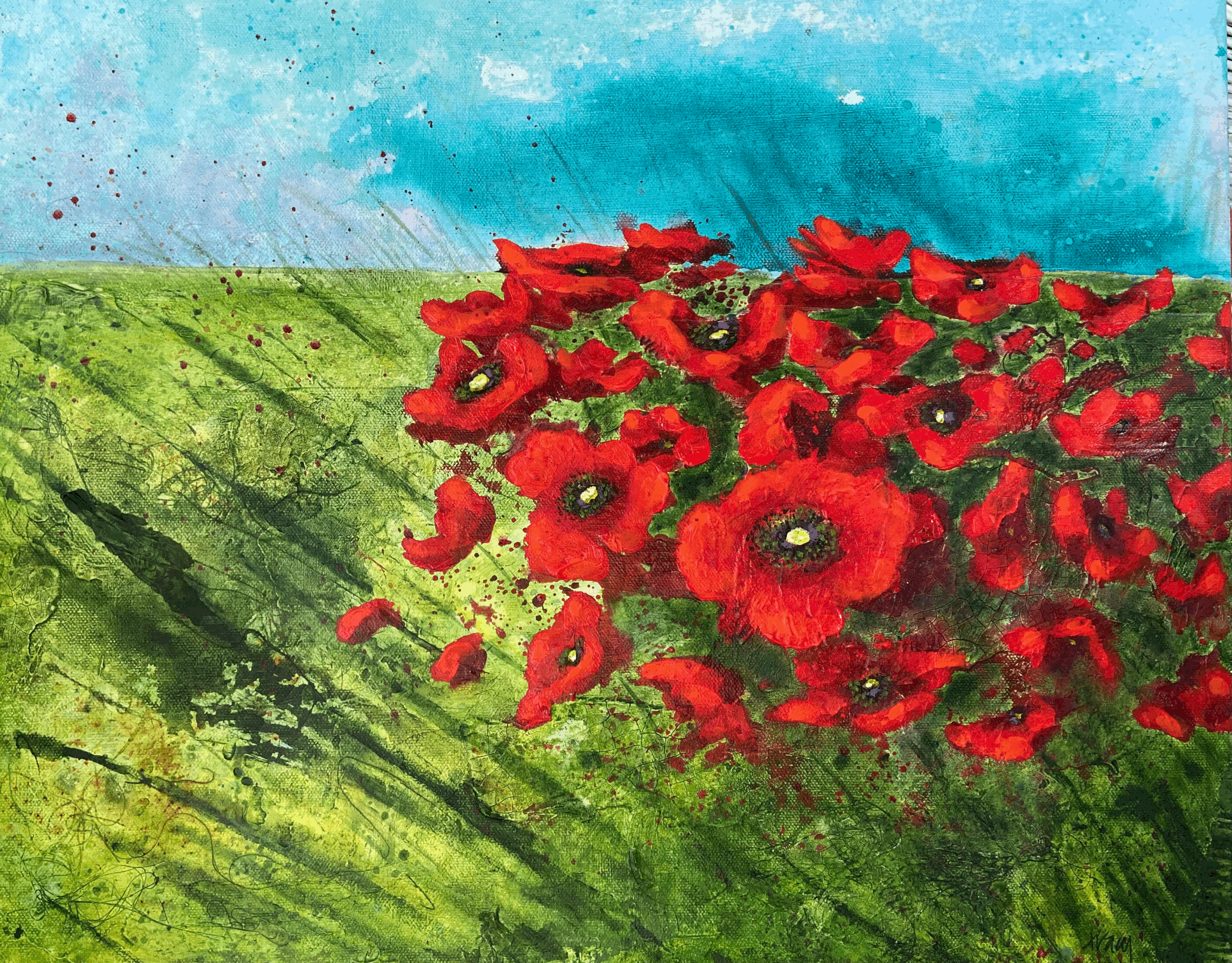 Poppies In The Field