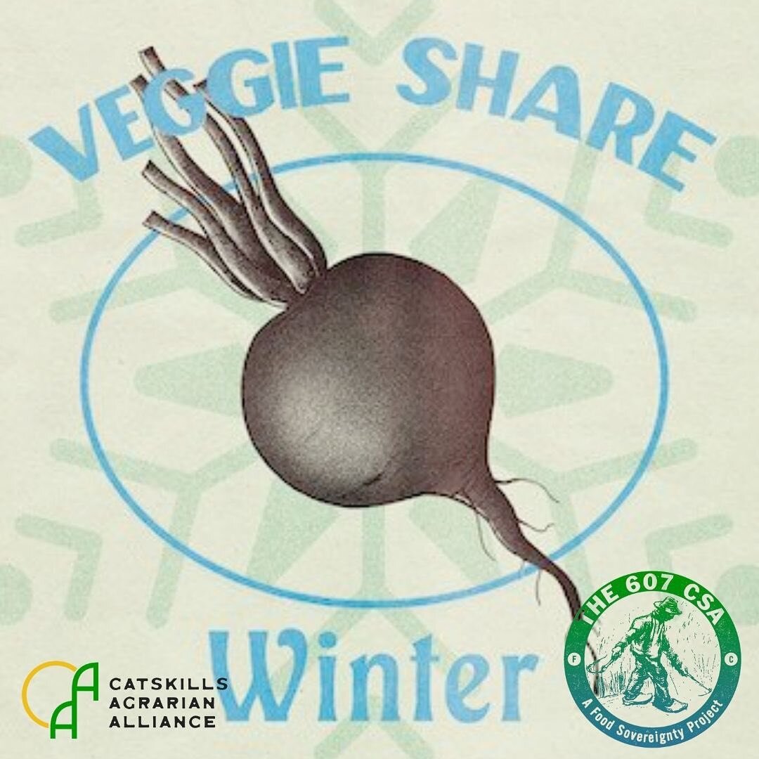 🌱

As of our reopening, DEC 5th, we will be a pick up site for winter shares and wholesale by **** @the607csa **** in collaboration with the @catskillsagrarianalliance 

💚🌱🥦🥬🥕🌶🥕🥬🥦🥔🥕

The CSA will run from December 5th to May 21 every othe