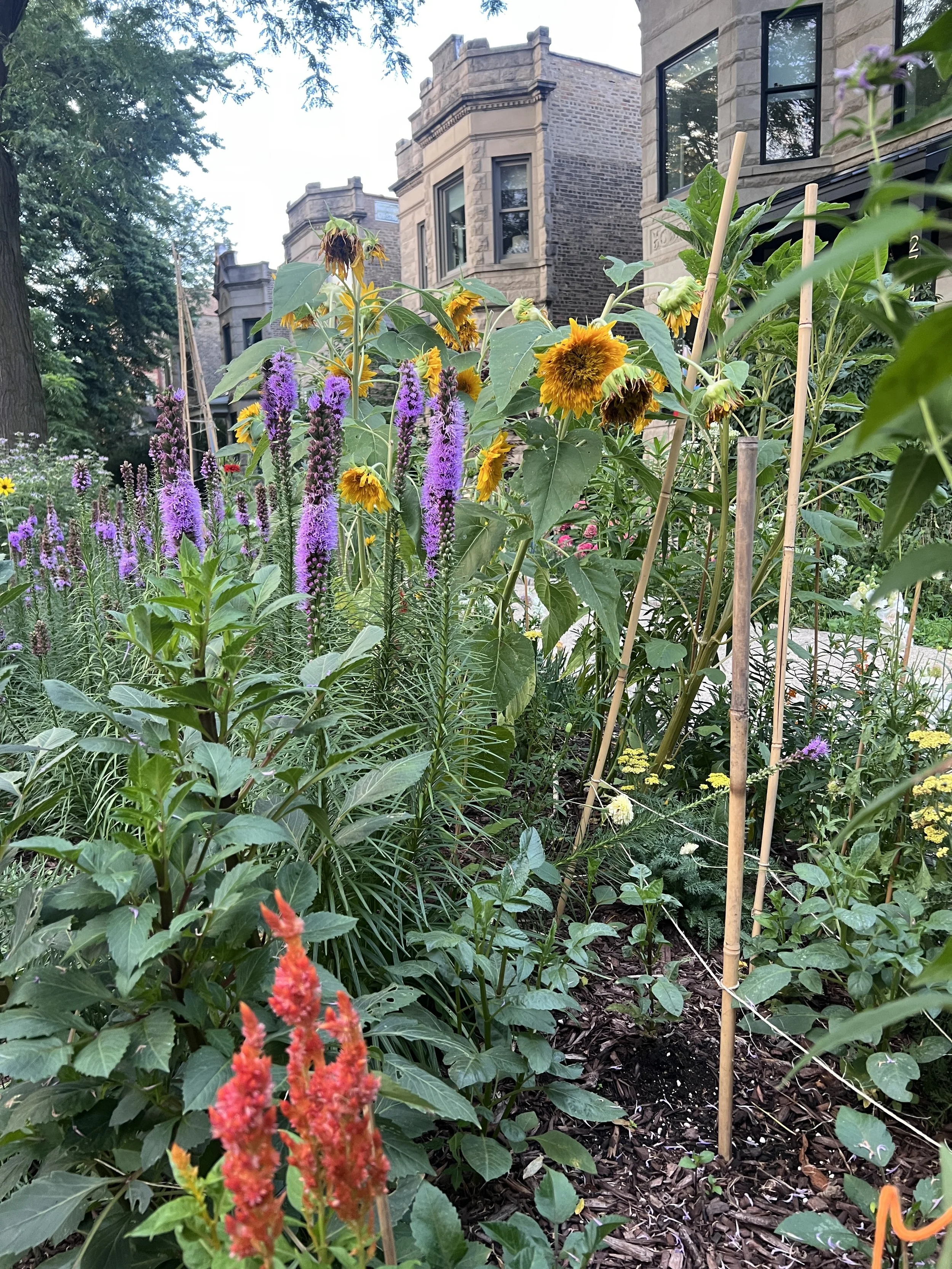 City Property (1).JPG