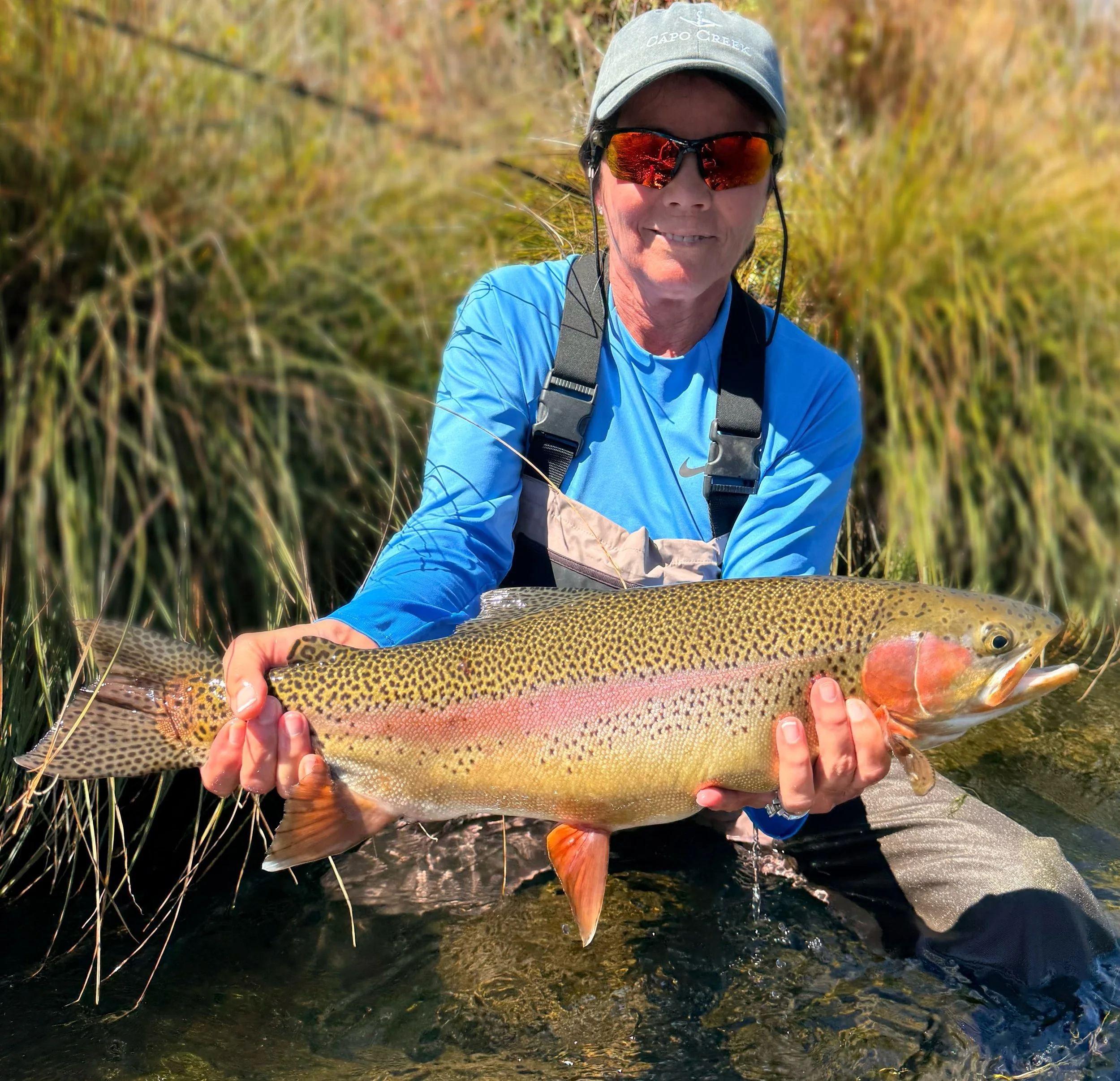 Putah Creek Report 9/8/2026
