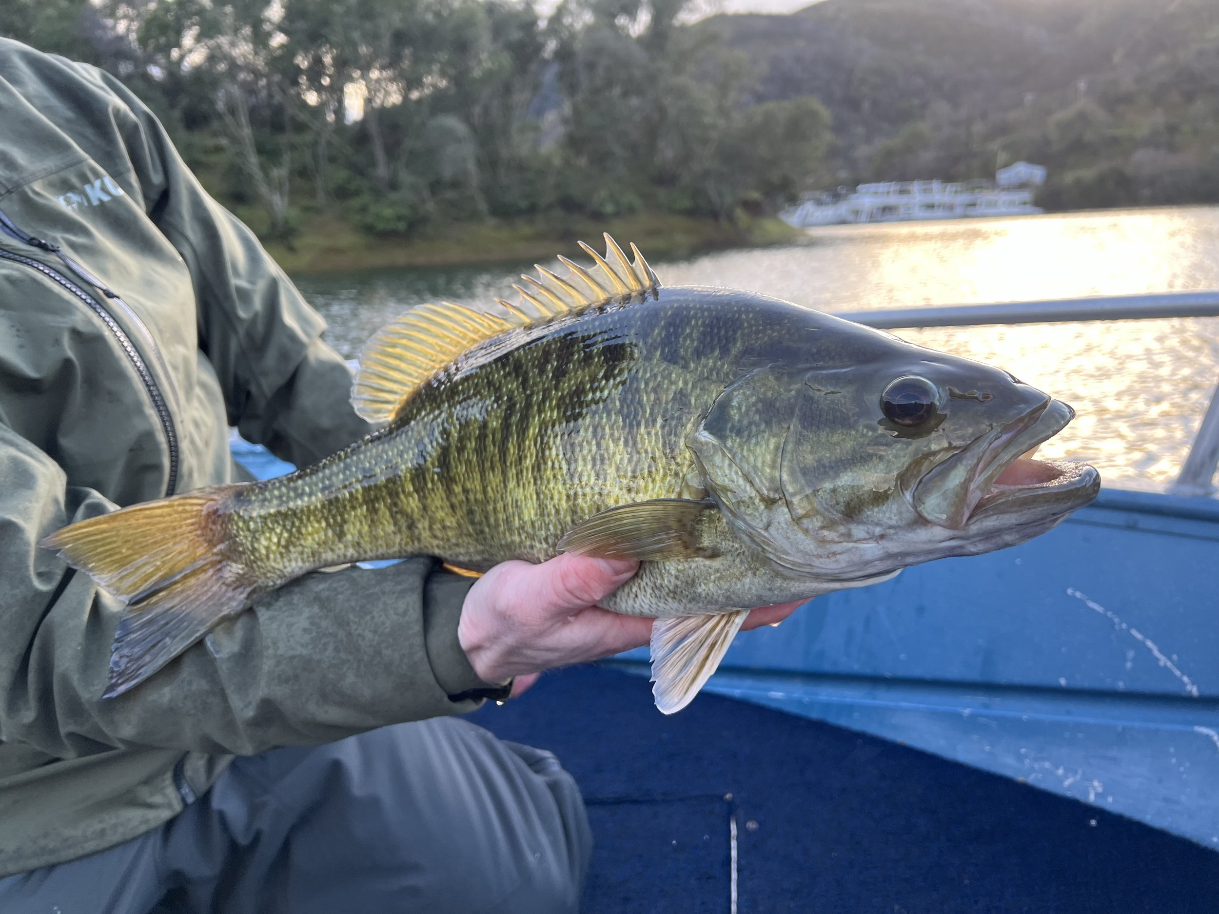 Upload cool bass.JPEG