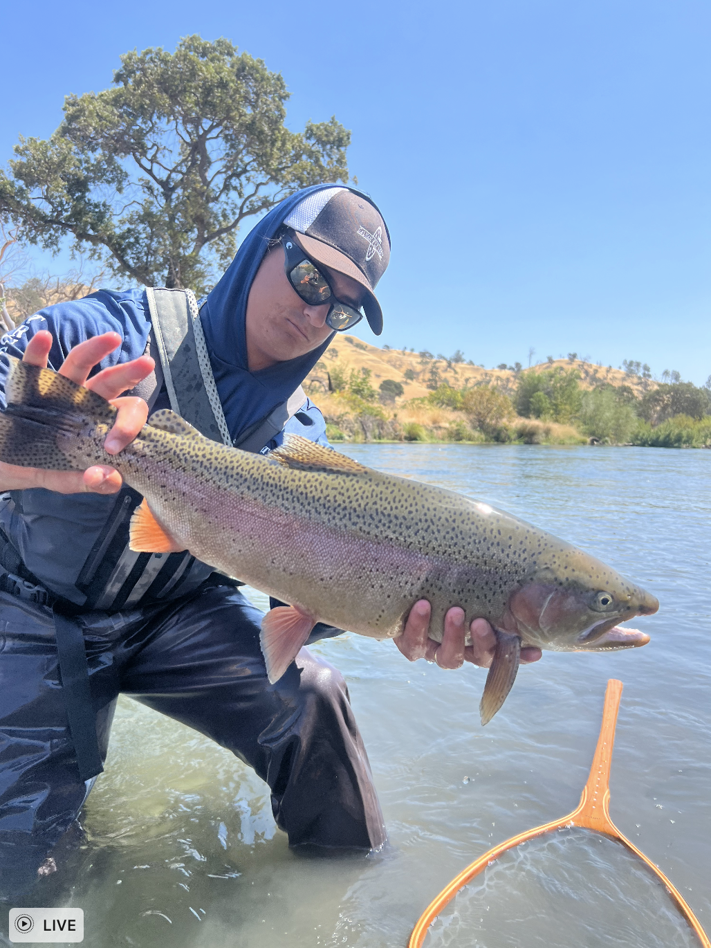 Screenshot 2024-11-16 at 3.23.19 PM.png