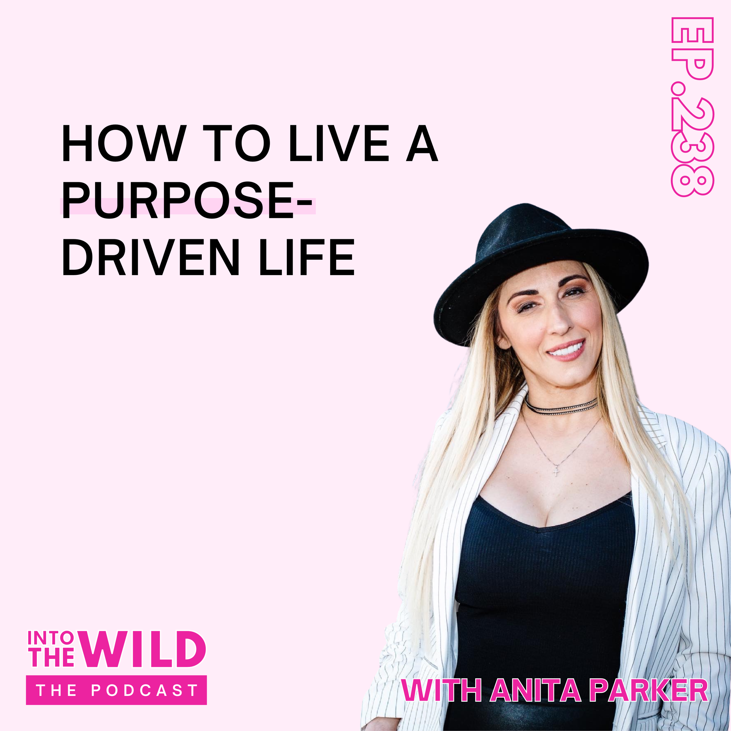 238. How to Live a Purpose- Driven Life with Anita Parker