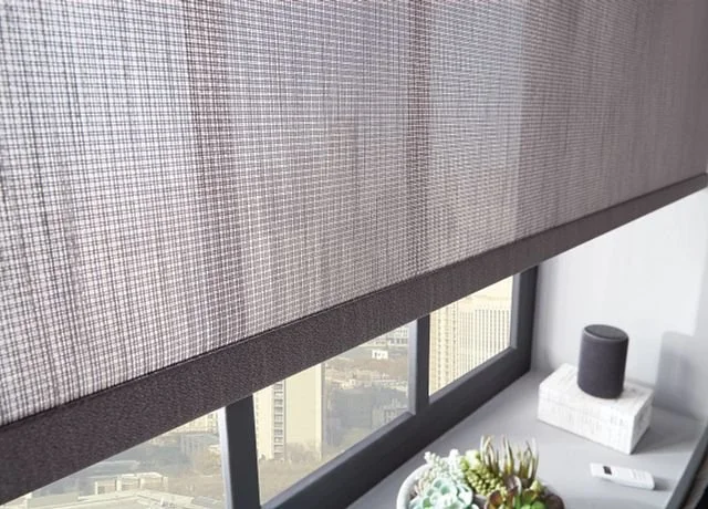 Indoor scene with a window featuring semi-transparent roller shades, offering a view of city buildings outside. A windowsill is decorated with a succulent plant, a remote control, and a small speaker placed on a stack of books.