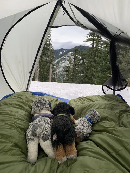 Tarptent Cloudburst 3 — Journey's Flow Tarptent Cloudburst 3 — Journey's Flow