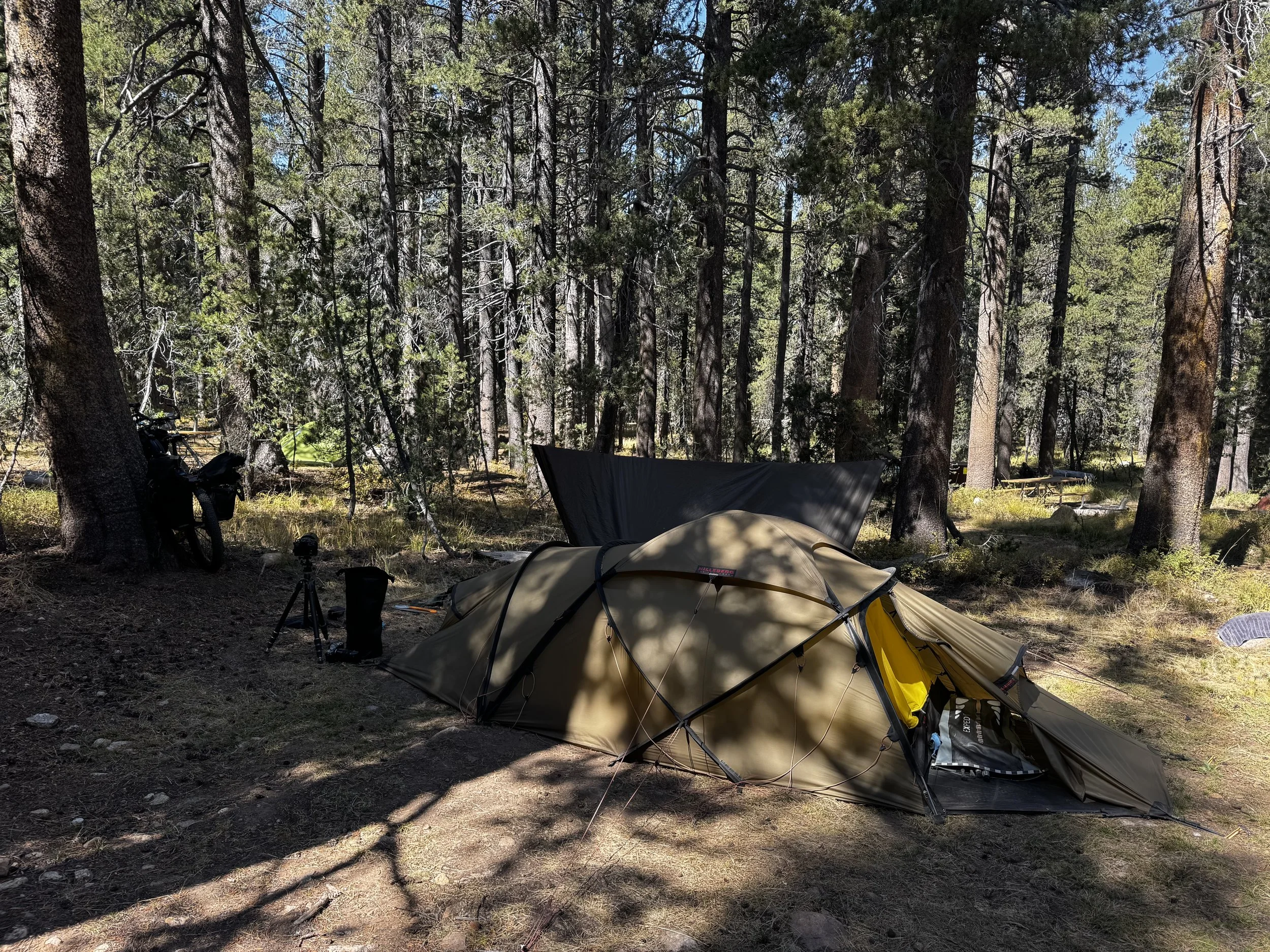 Tuolumne Meadows