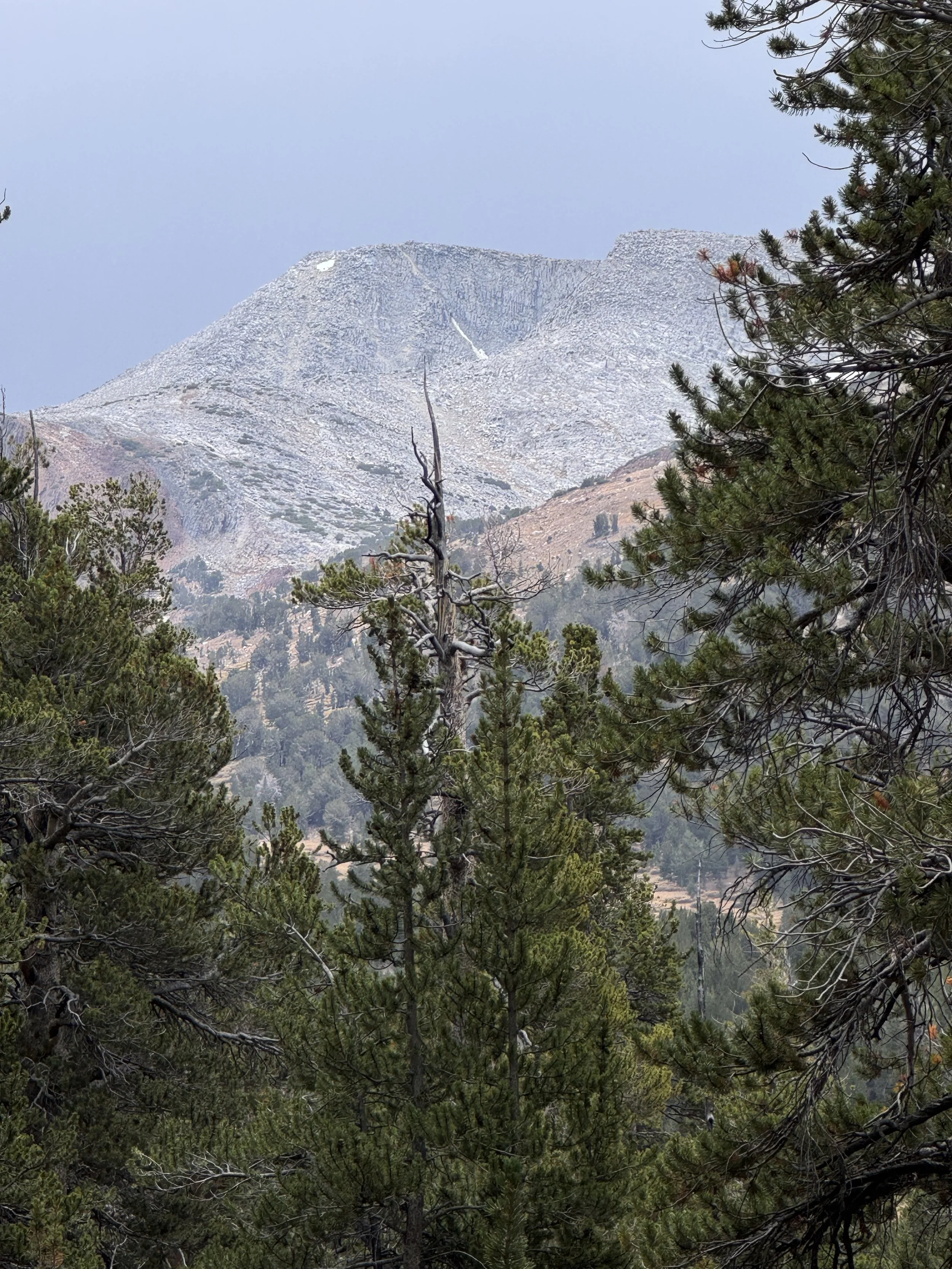 Mono Pass