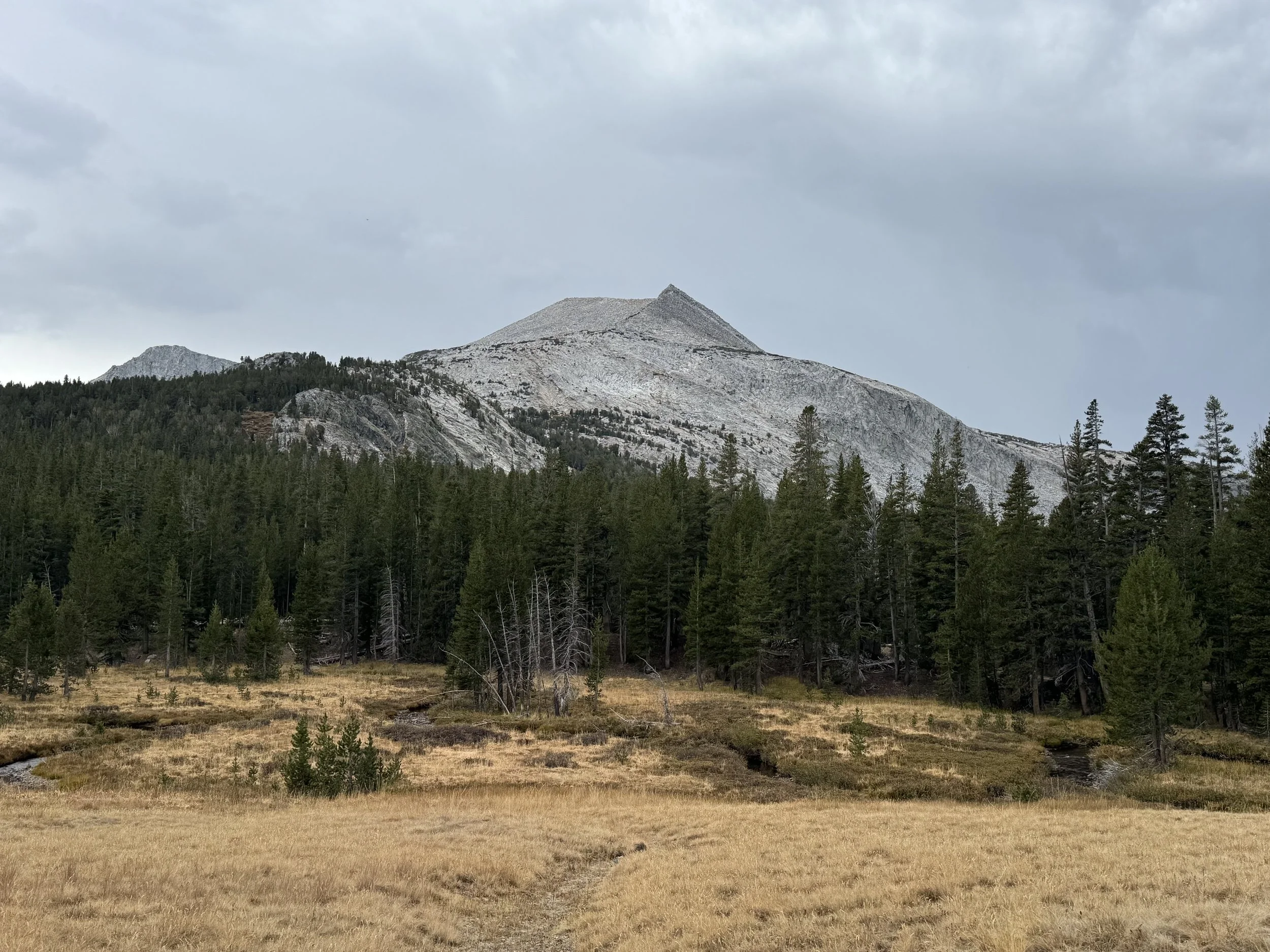 IMG_6041.jpeg