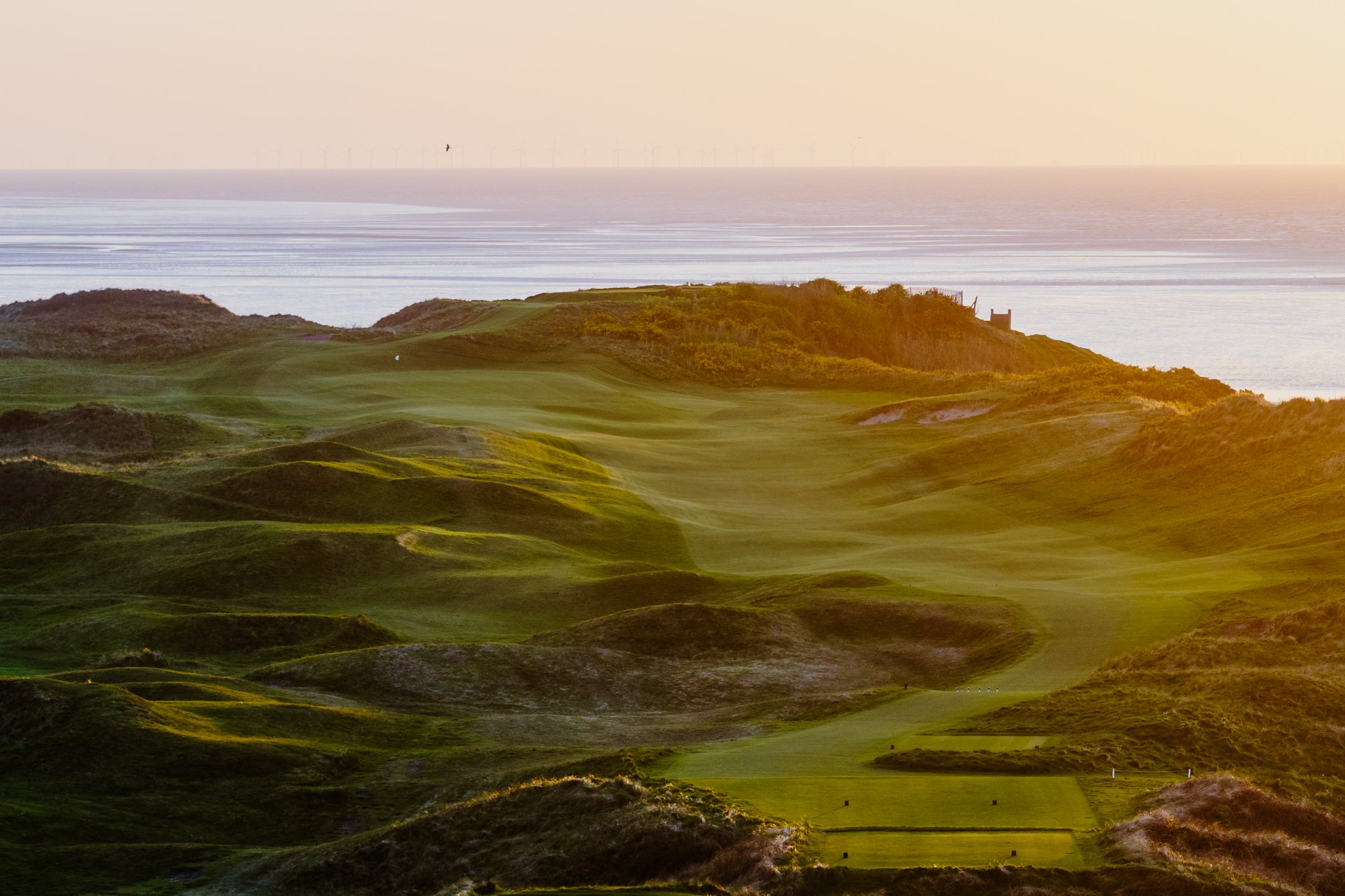 Wallasey Elevate2.jpg