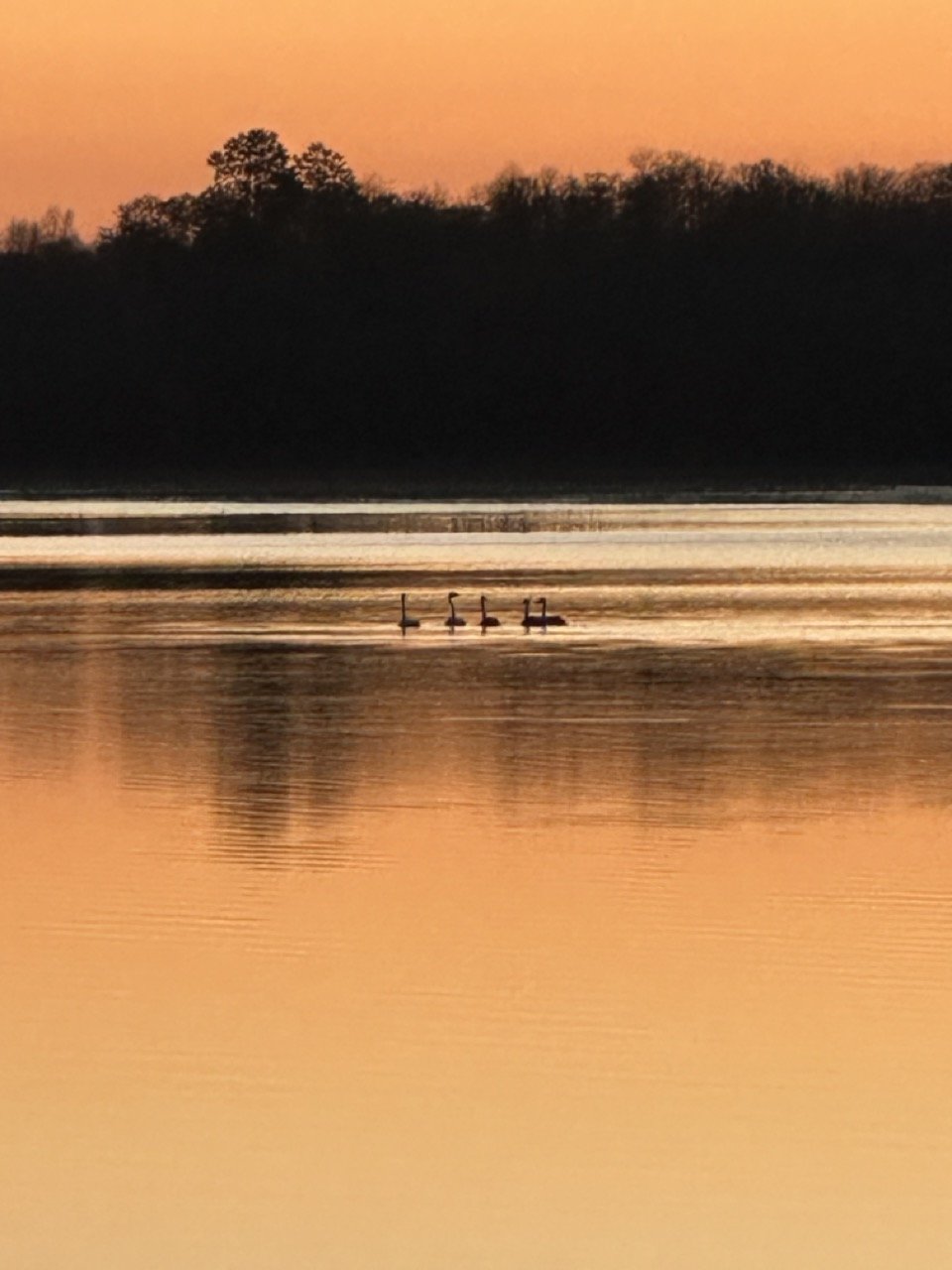 Lake Property Aitkin Mn
