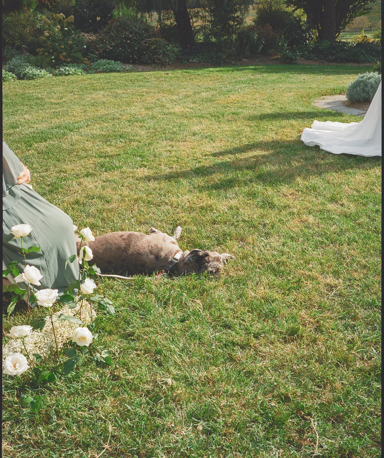 virginia-film photographer.jpg