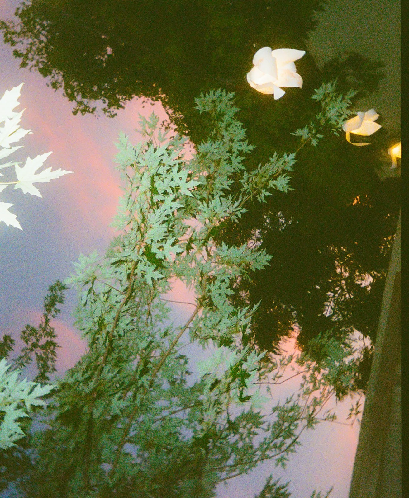 virginia-film-photographers.jpg