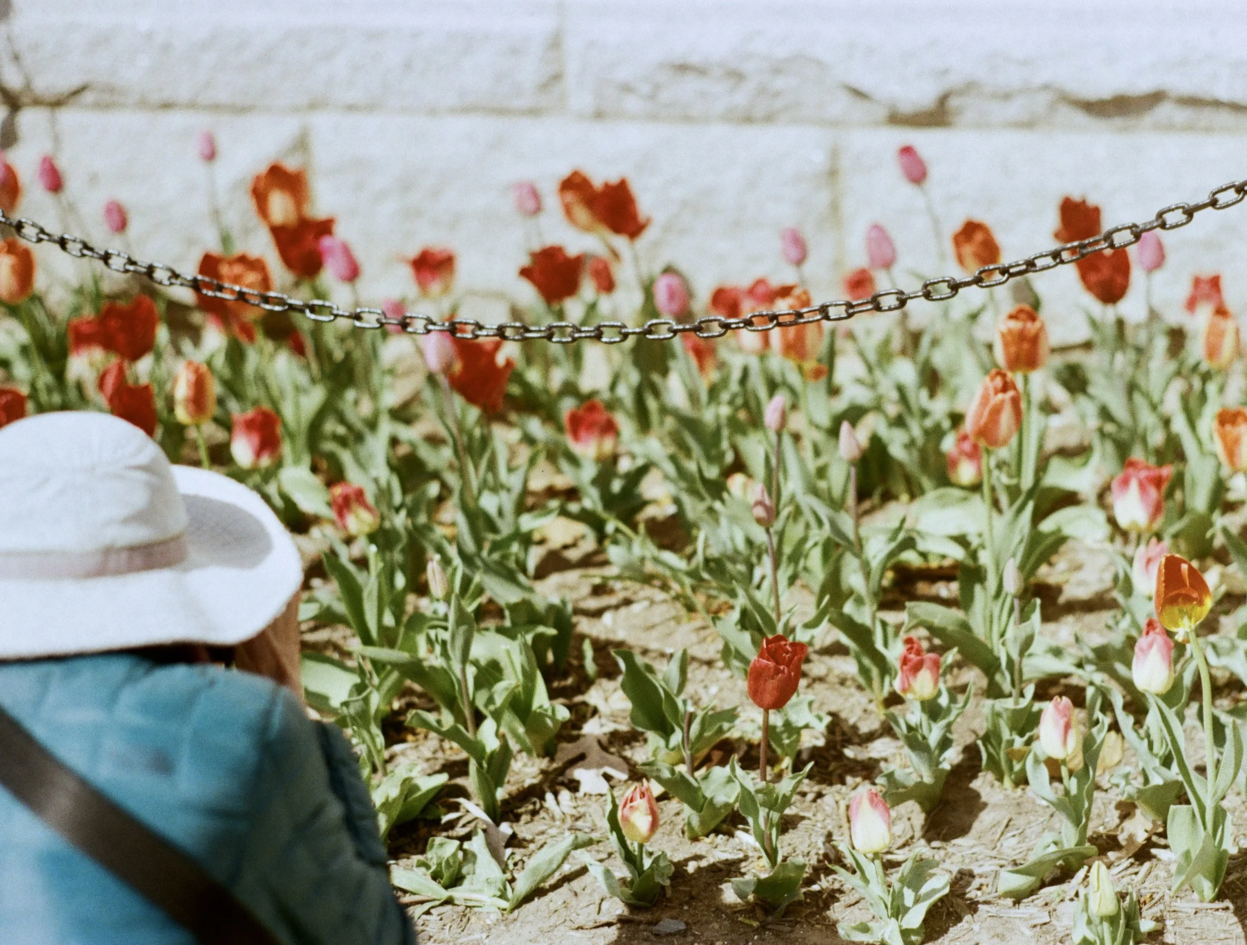 washington on film.jpg