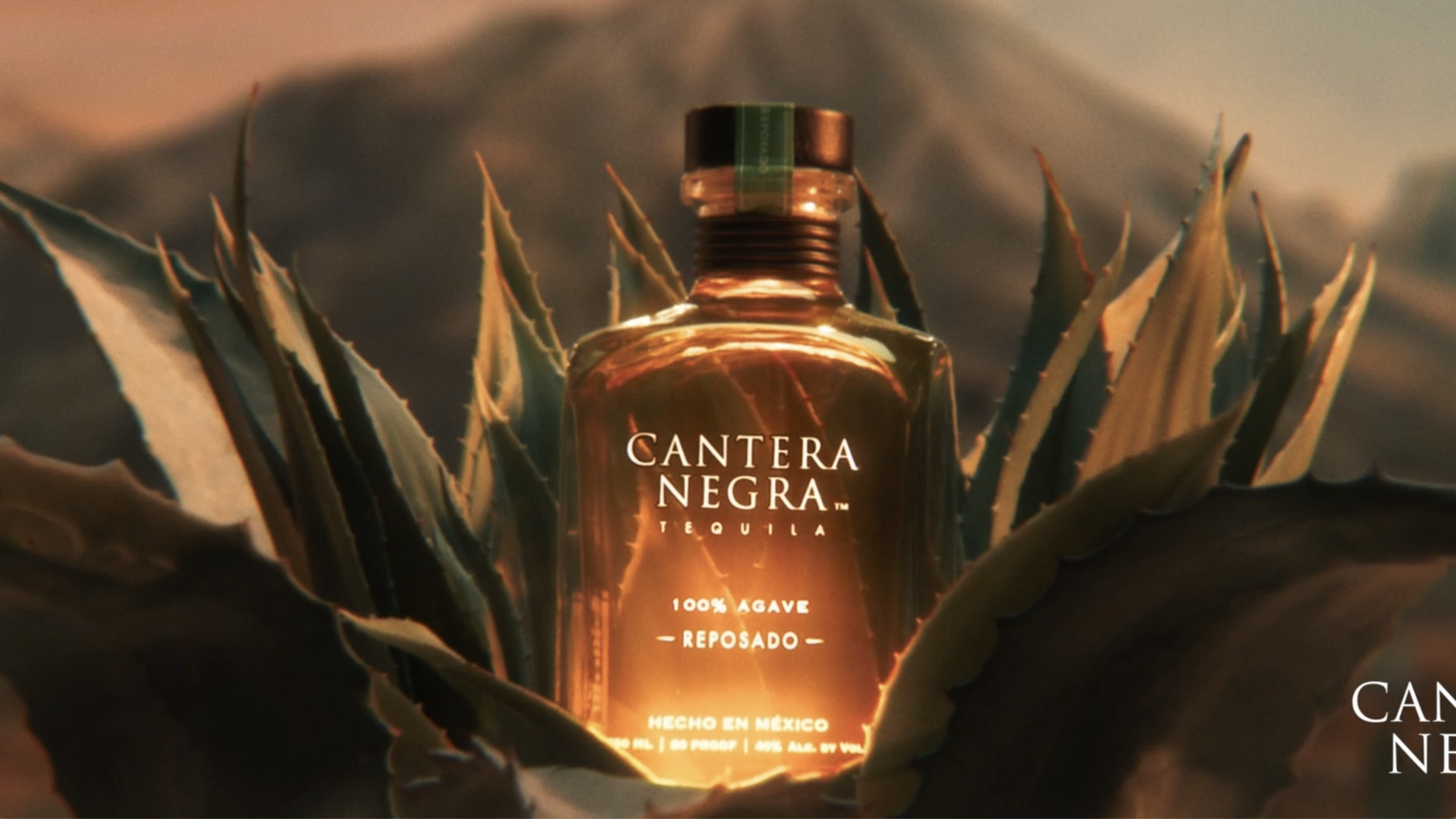 WEBSITE PLACEHOLDER.png