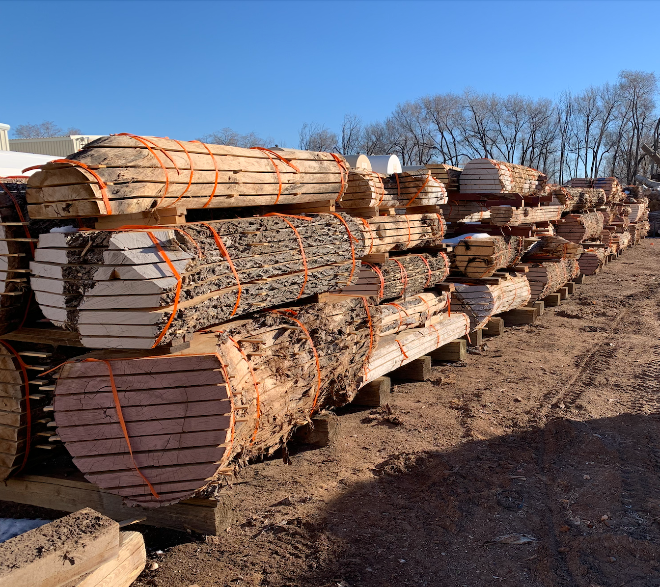 Stacks of rough-cut lumber bound with orange straps, positioned on a dirt lot with bare trees in the background and a clear blue sky above.