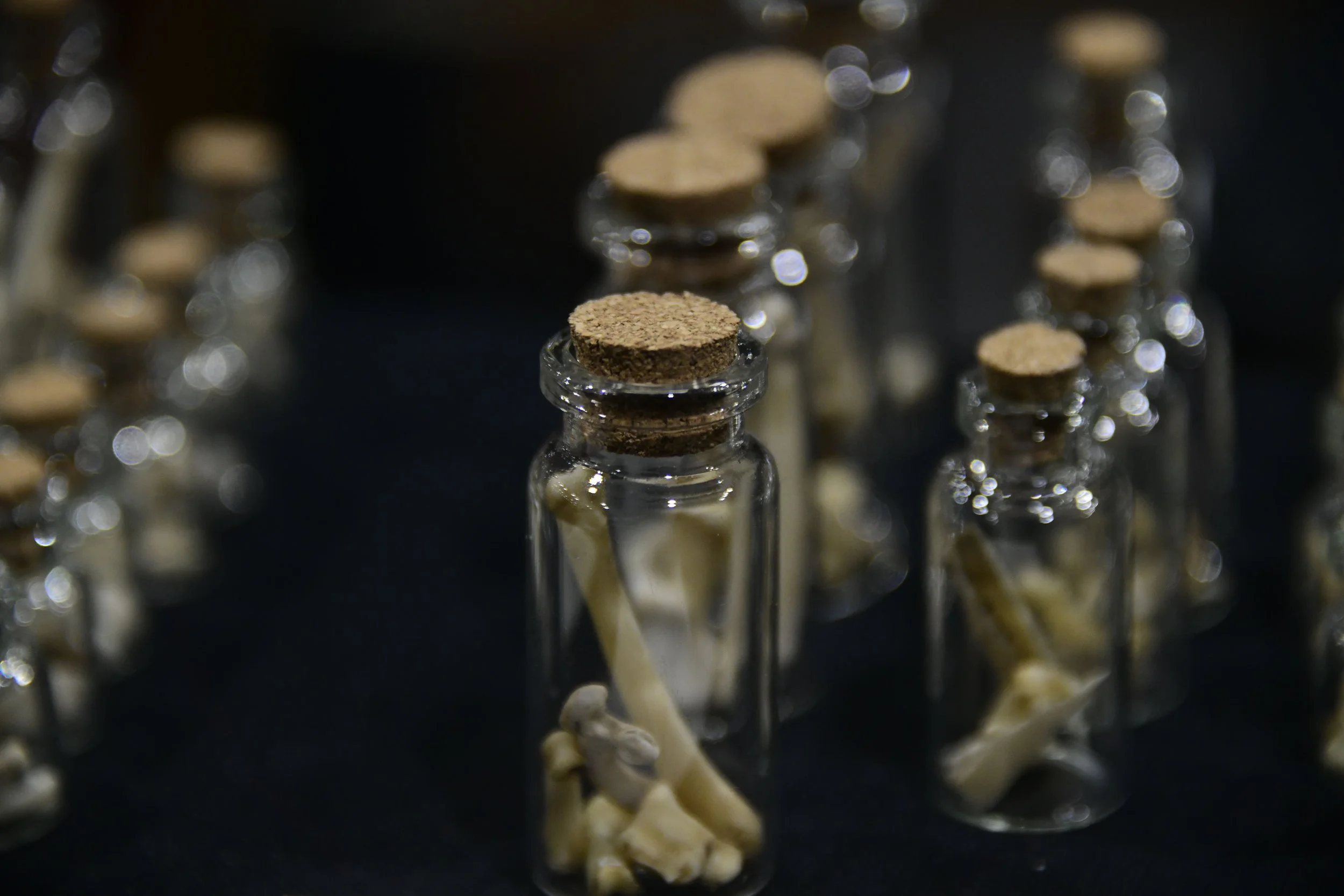 magical marketplace_bone jars-min.JPG