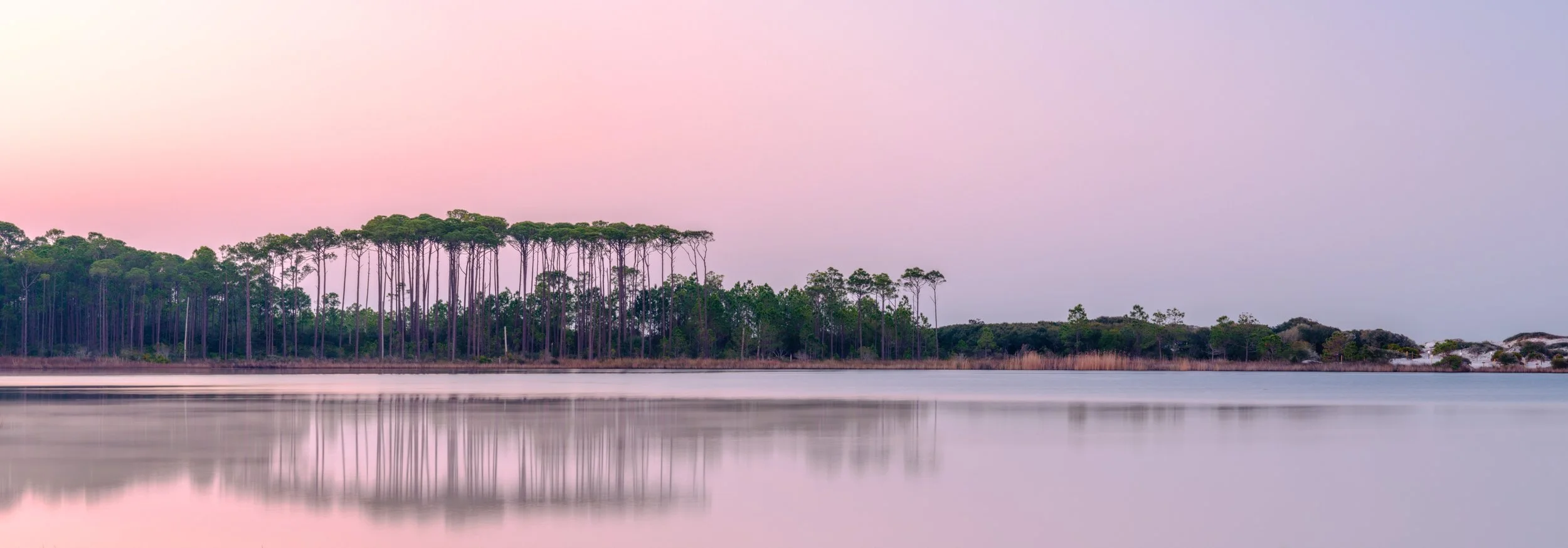 Western Lake Pines sunrise