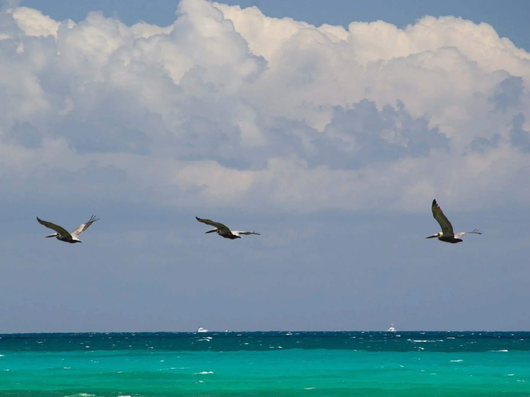 DSC_0810.jpg
