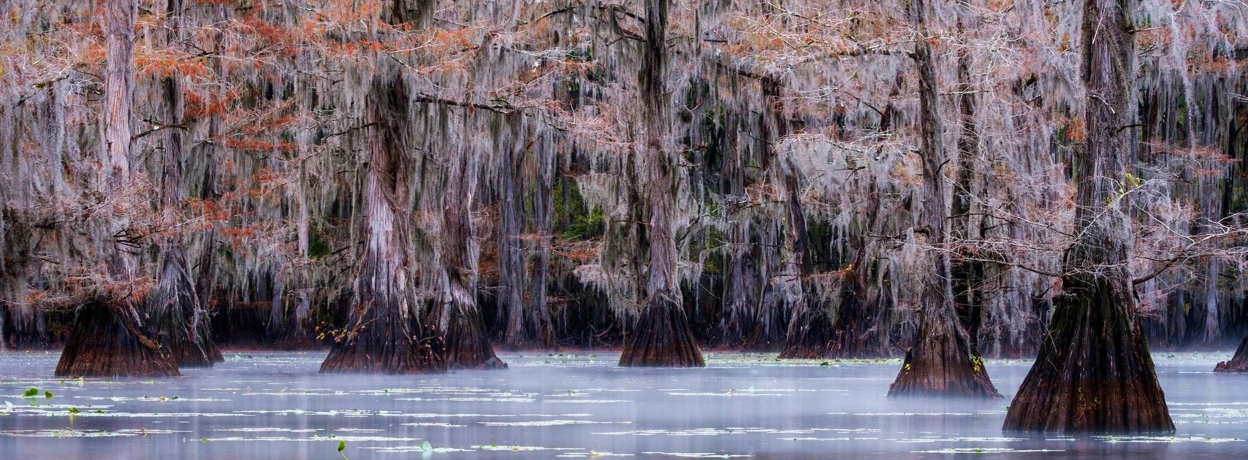 Caddo+Lkae+Cypress-7.jpg