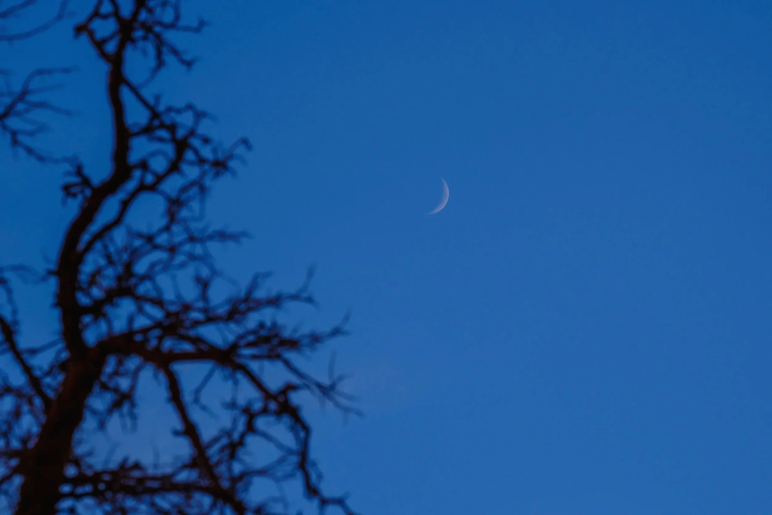 Crescent+Moon+in+Monument+Valley-2.jpg