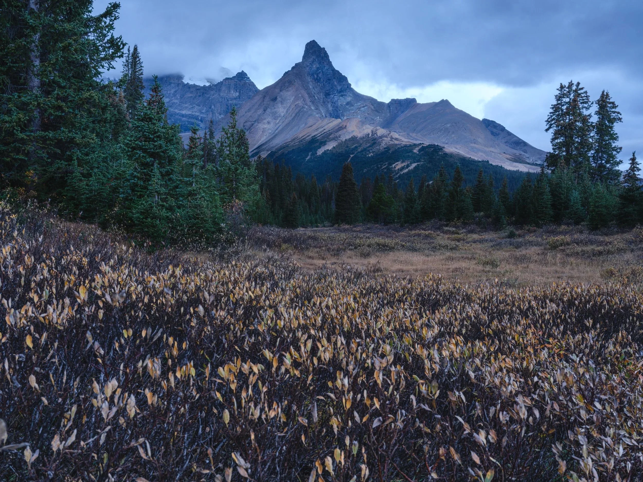 Hilda Peak w Mt. Athabasca obscured
