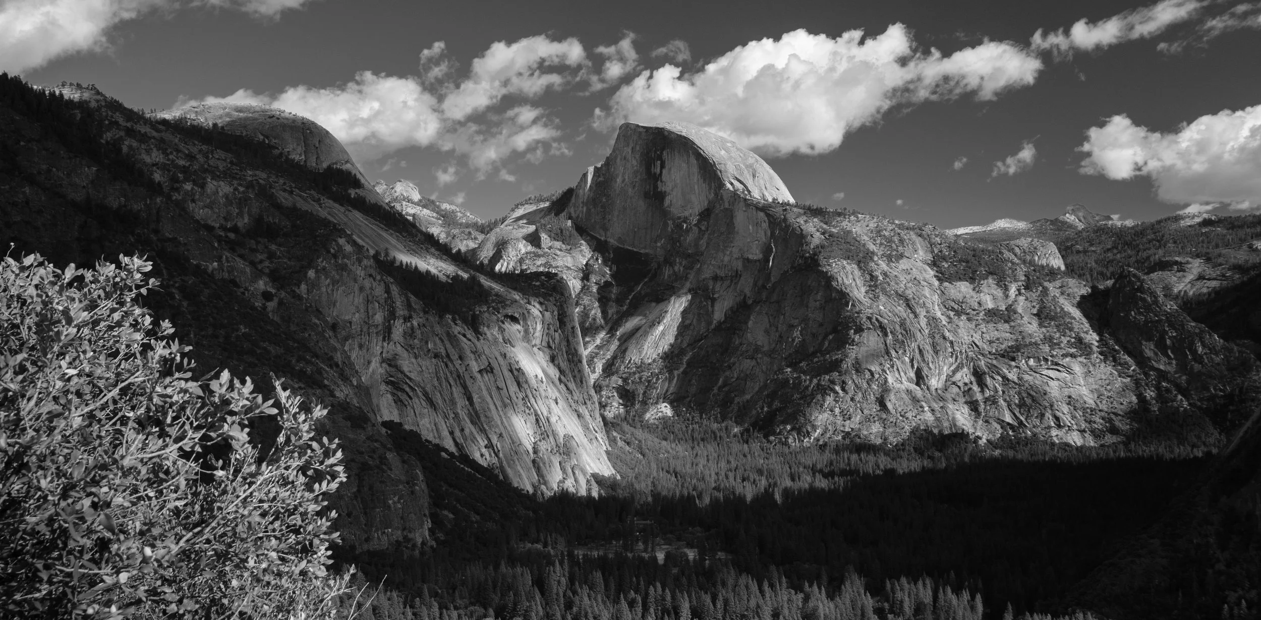 Half Dome from Tunnel View BW-1.jpg