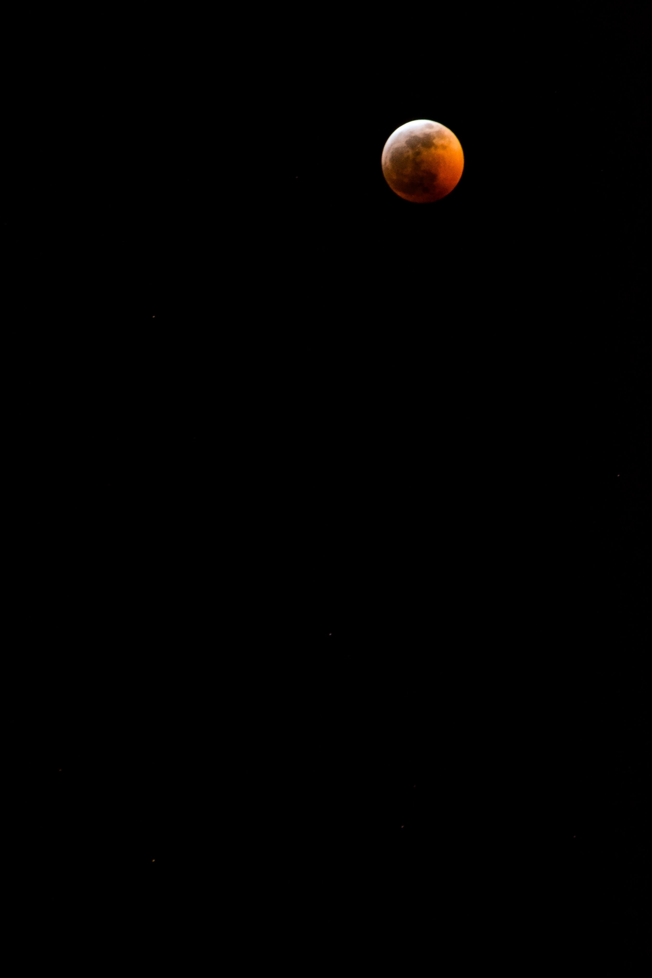 SuperBloodWolfMoon.jpg