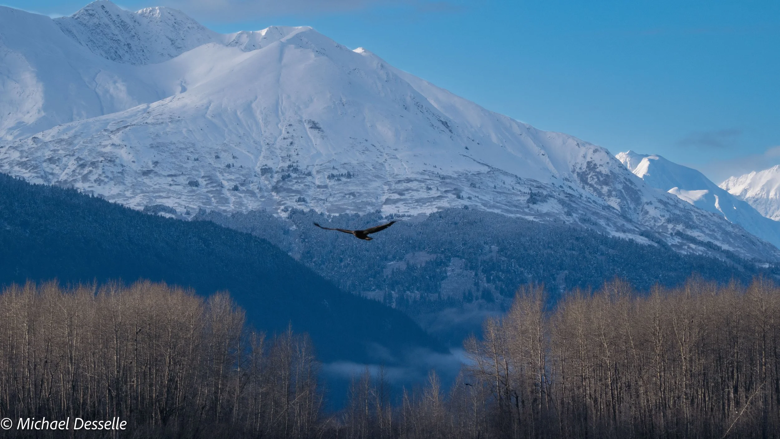 Chilkat Range, Alaska