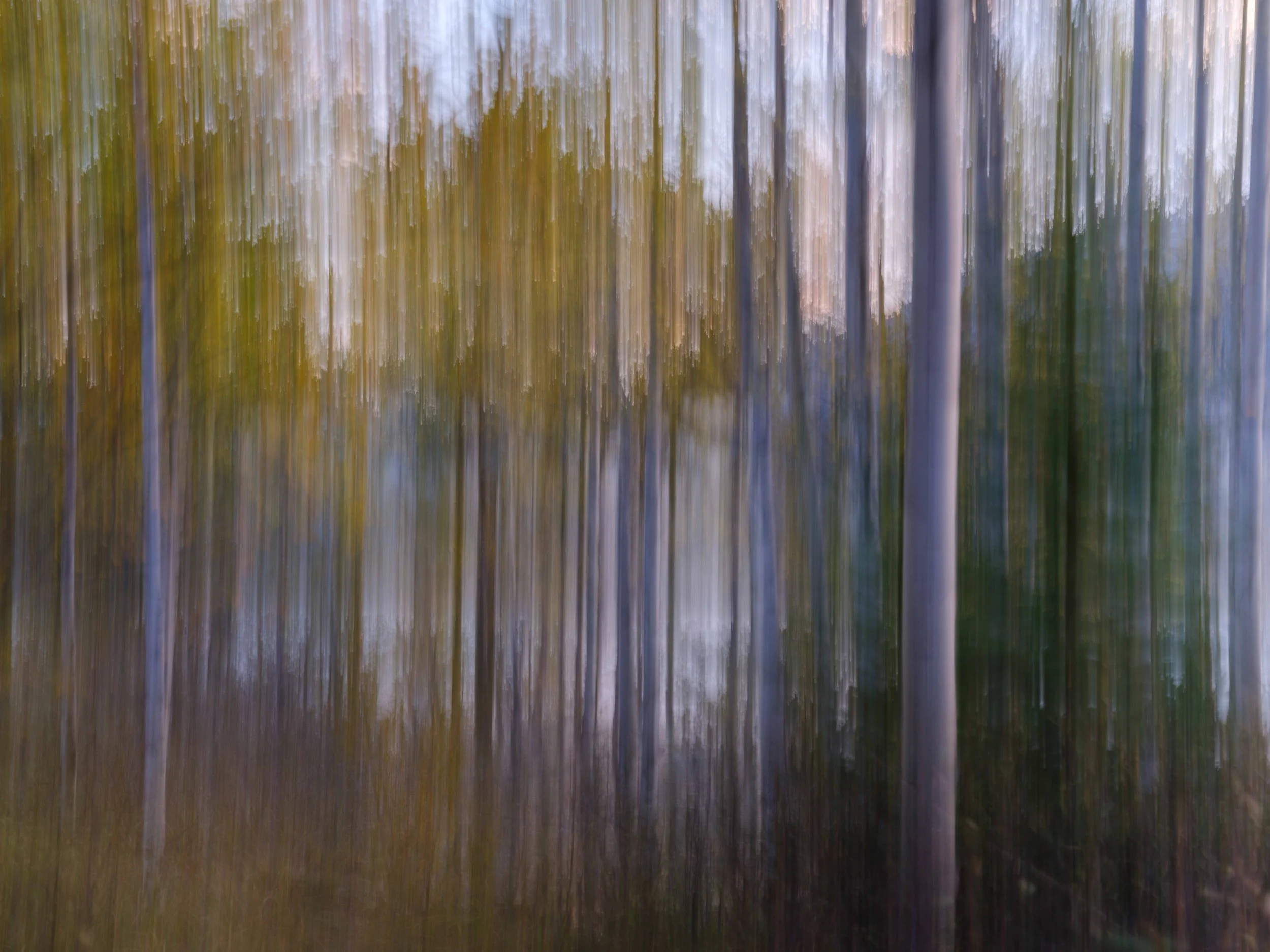 Preacher's Point Aspens ICM-2-2.jpg