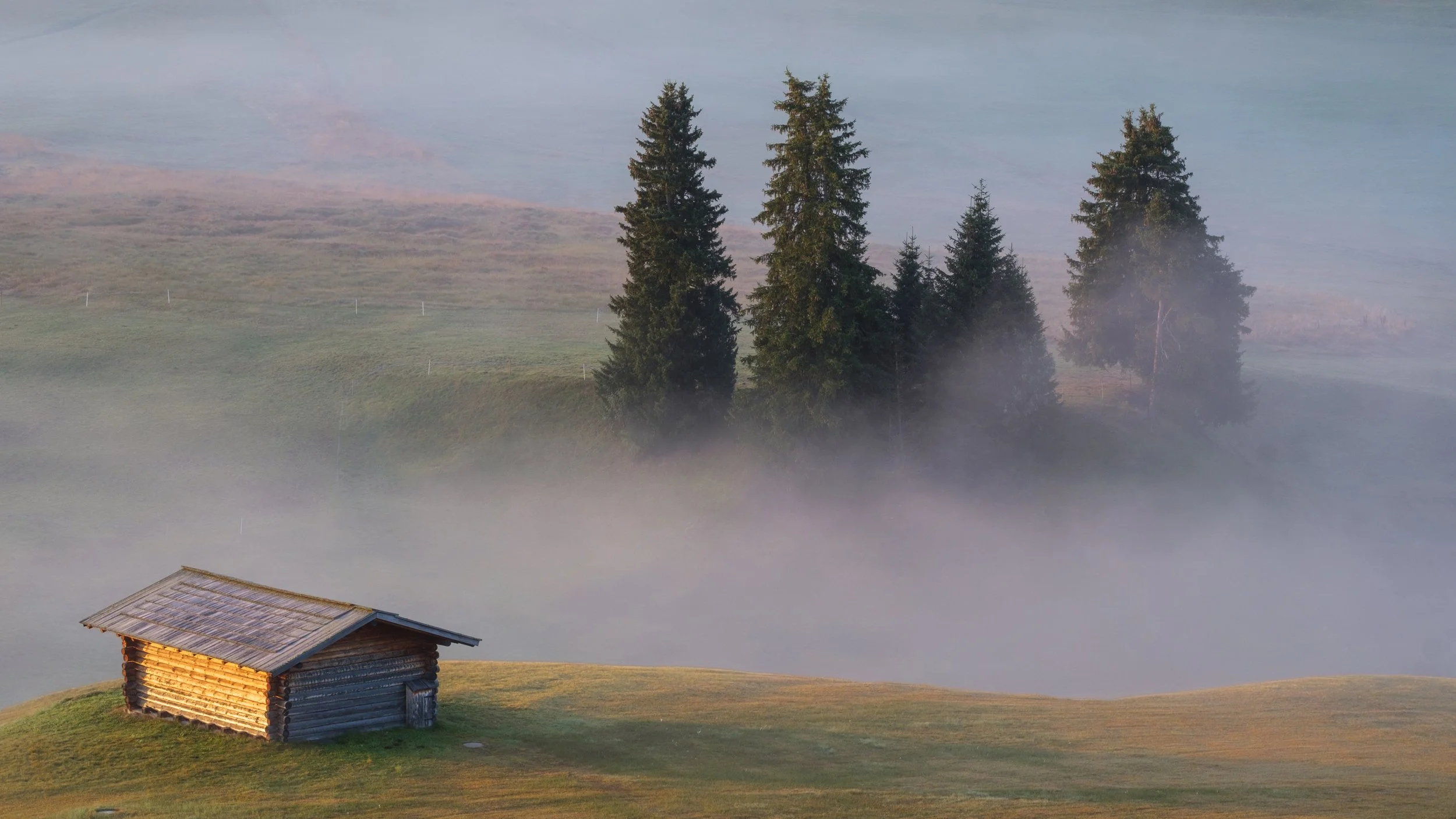 Alpe di Suisi golden light-1.jpg