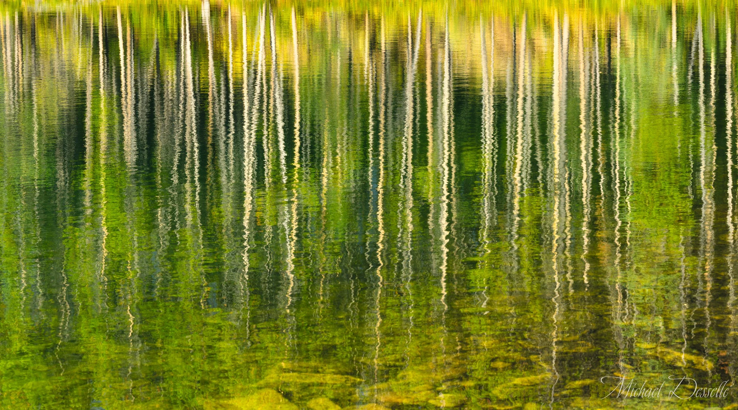 Reflections in Herbert Lake, Alberta, Canada