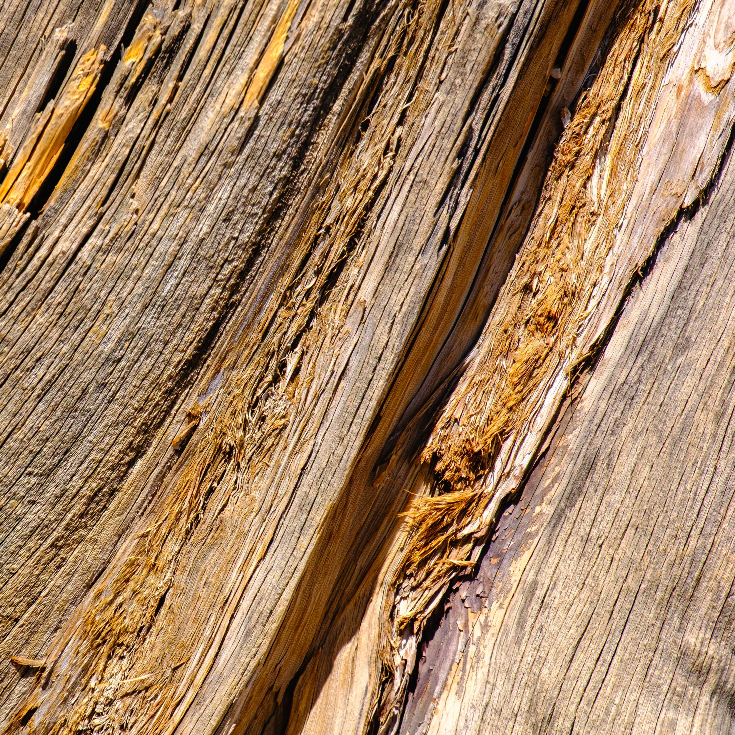 Wood-1.jpg