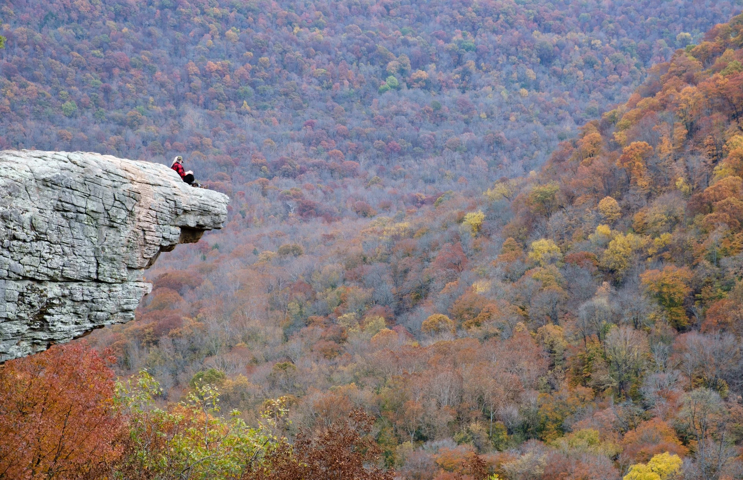 Hawksbill Crag admirer
