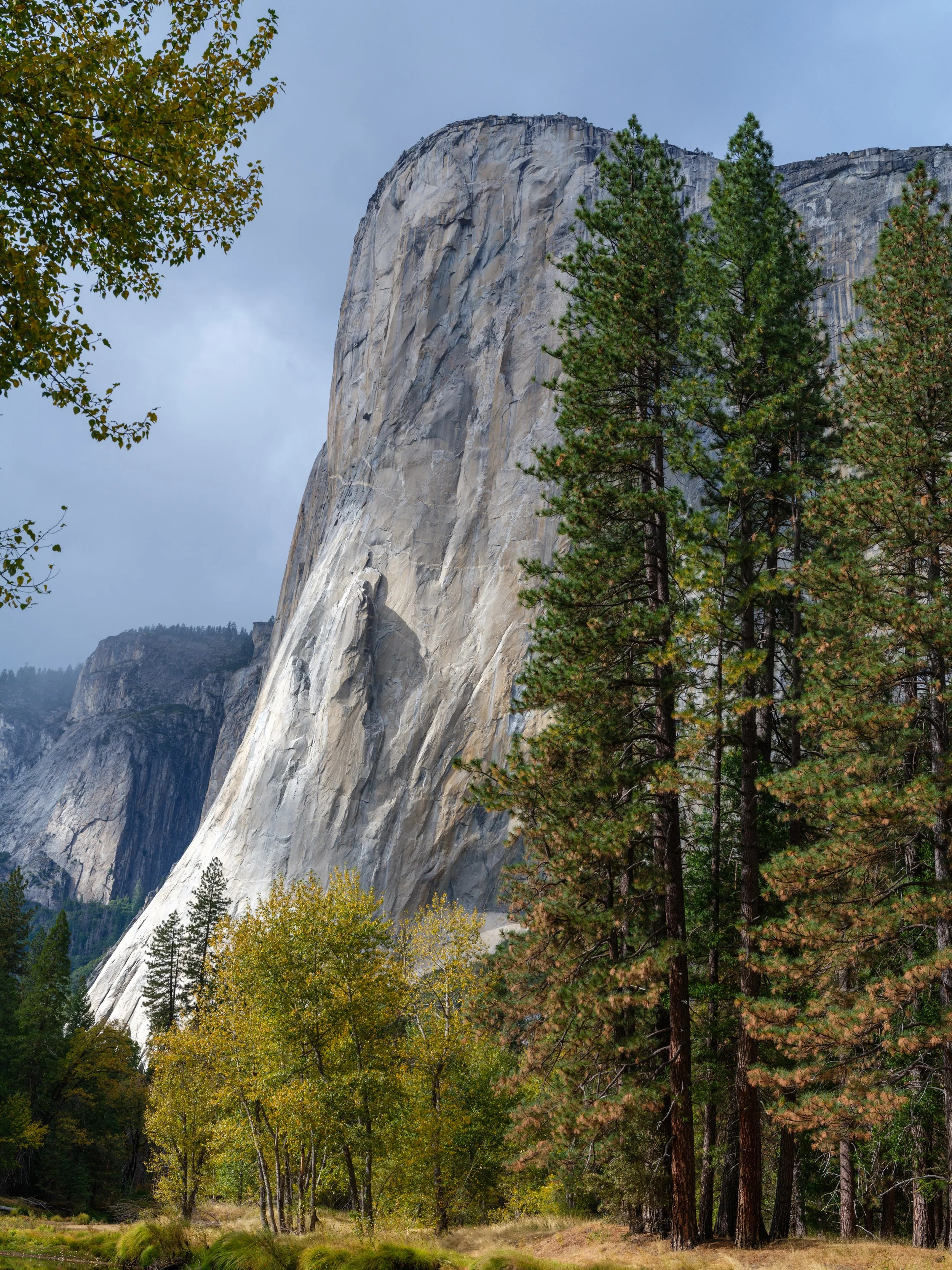 El Cap From Merced 2-1_lowres.jpg