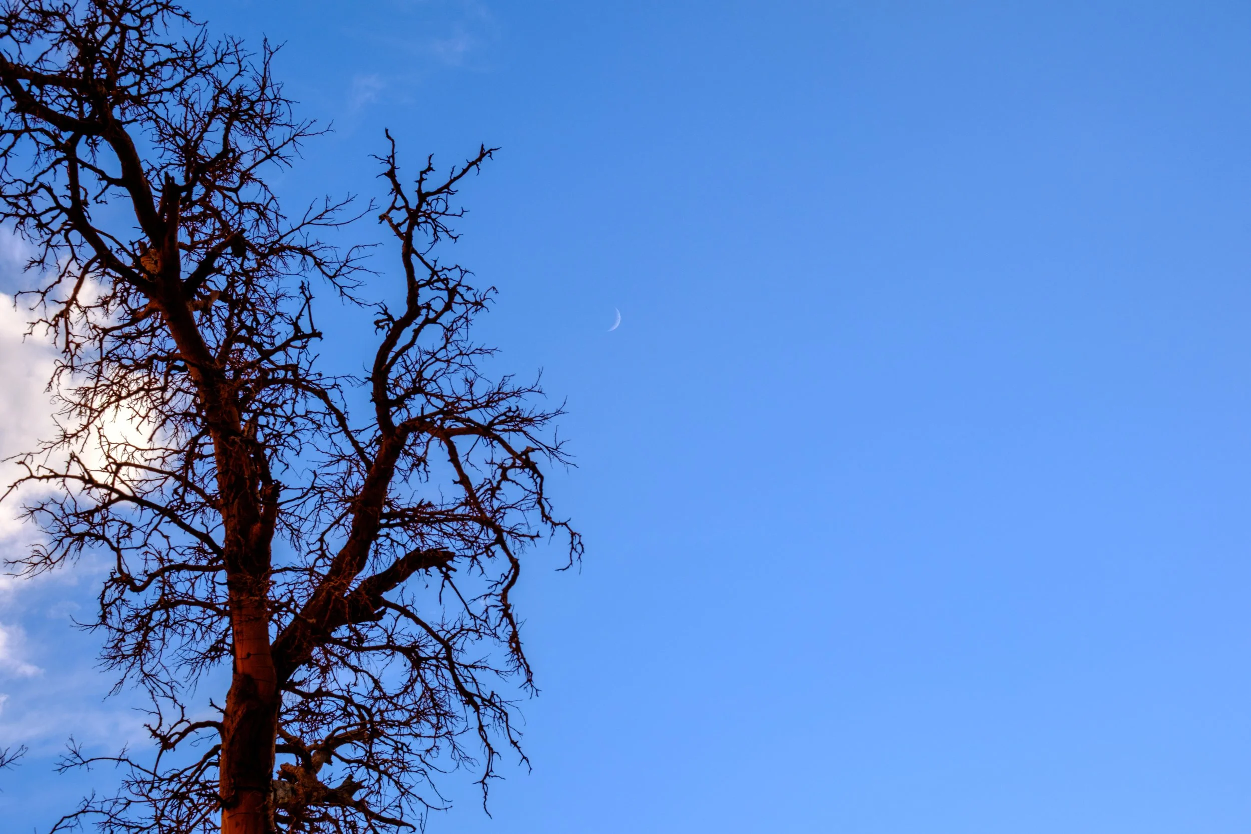 Crescent Moon in Monument Valley-1.jpg