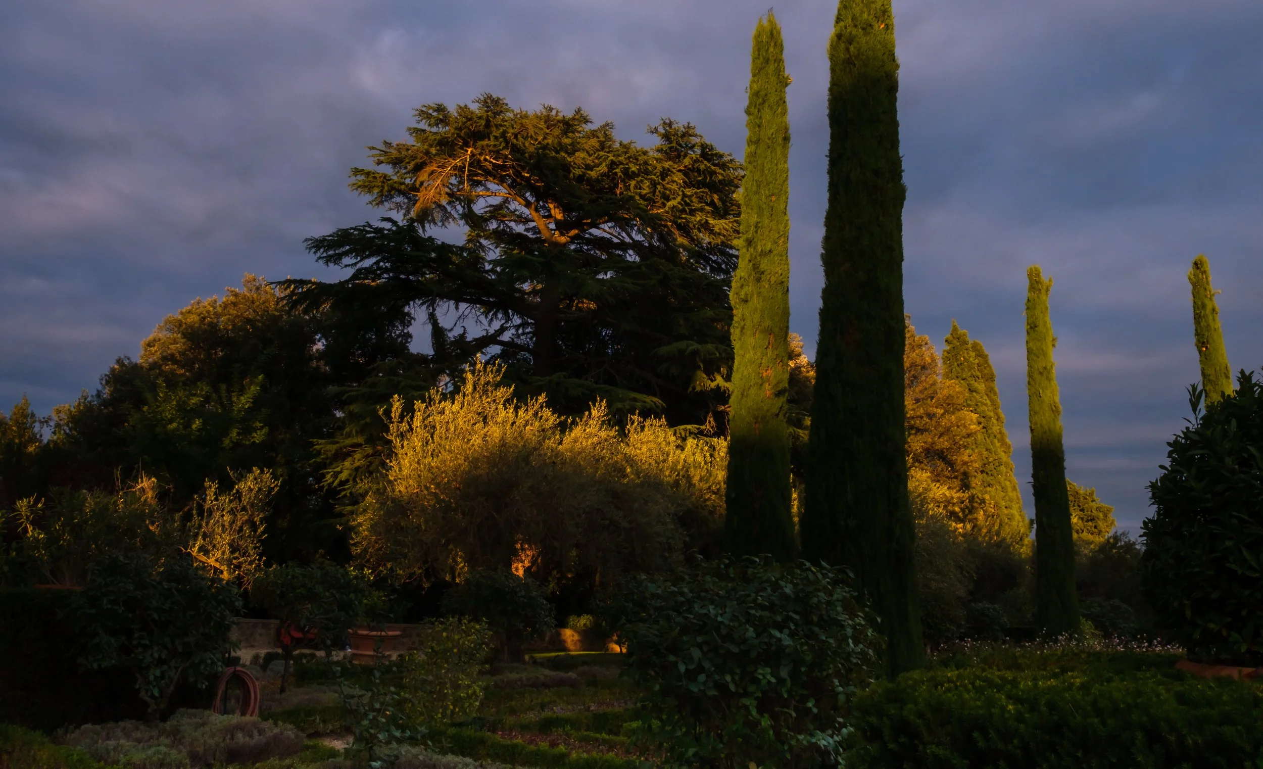 Villa El Palagio garden sunset-1.jpg