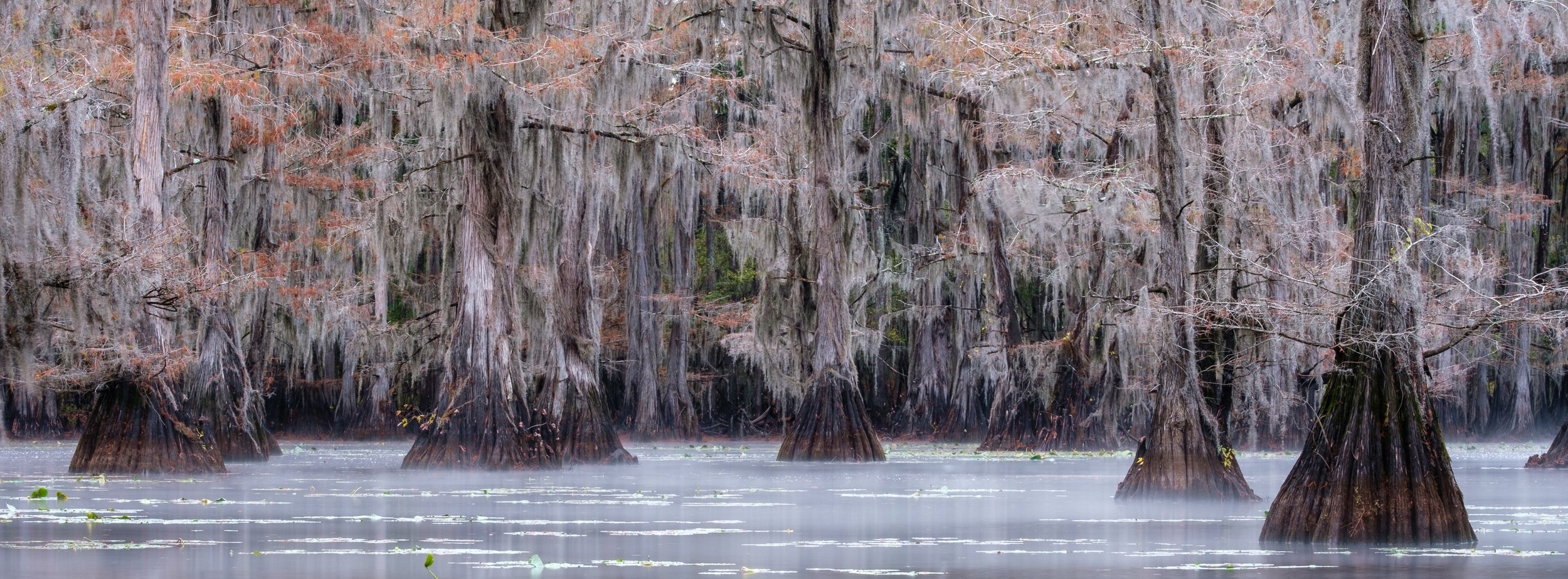Caddo Lake