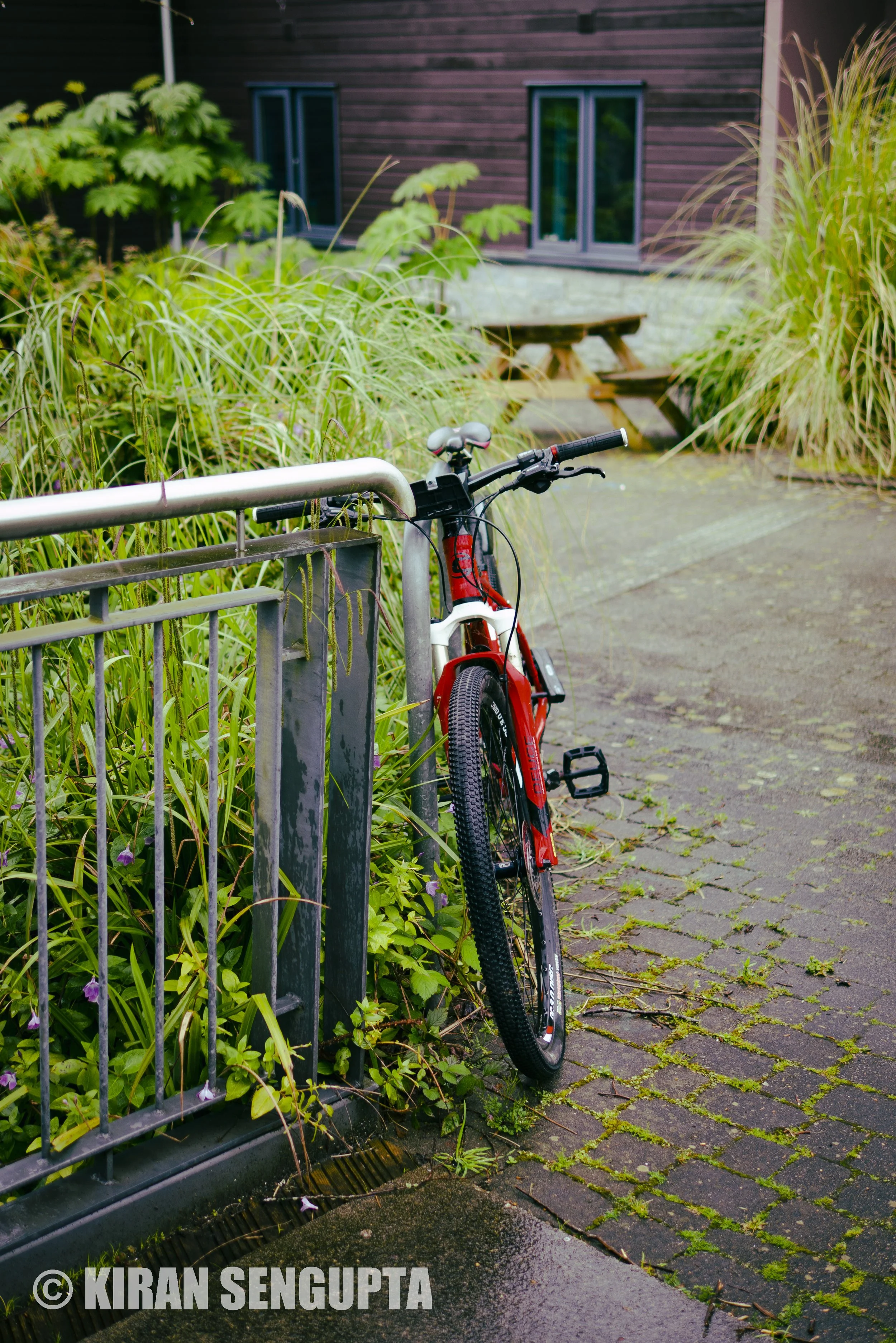 _1060180.jpg