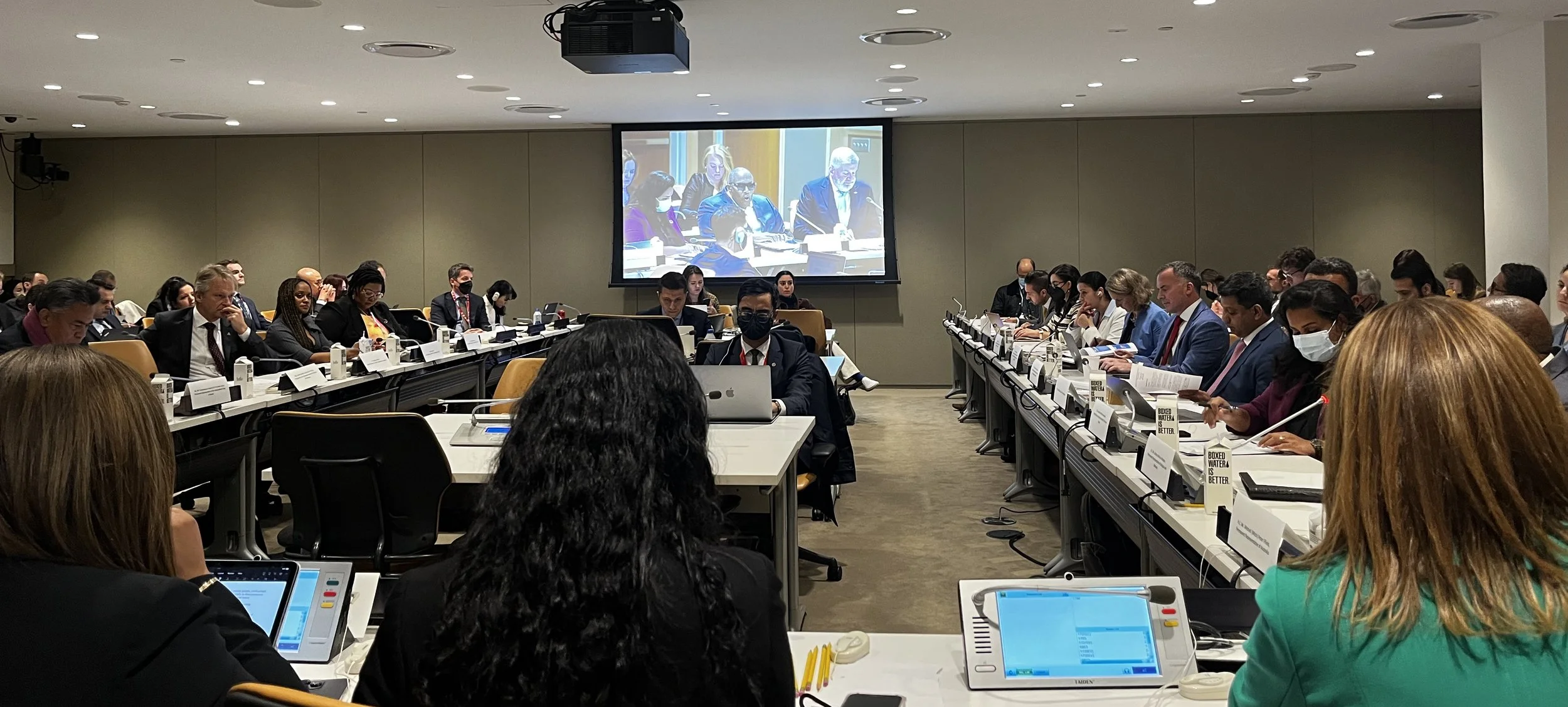 Informal Dialogue on the Summit of the Future – Opportunities and Expectations